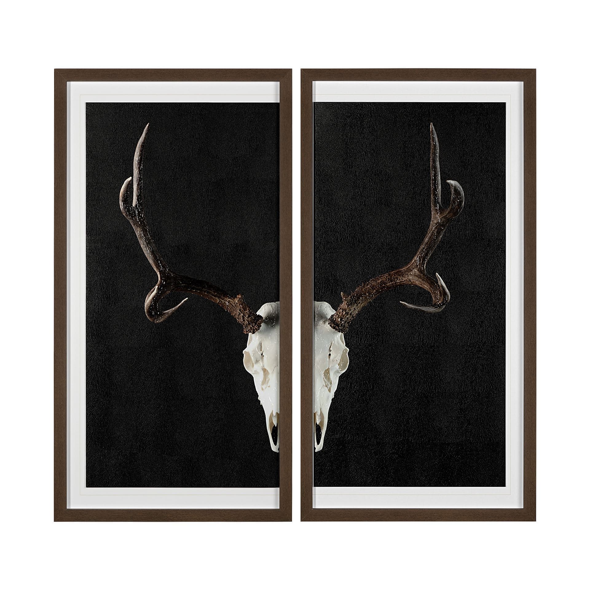 Deer Skull-L by Chris Dunker a Hand Embellished Textured Framed Art Print Matted under Glass — product photograph