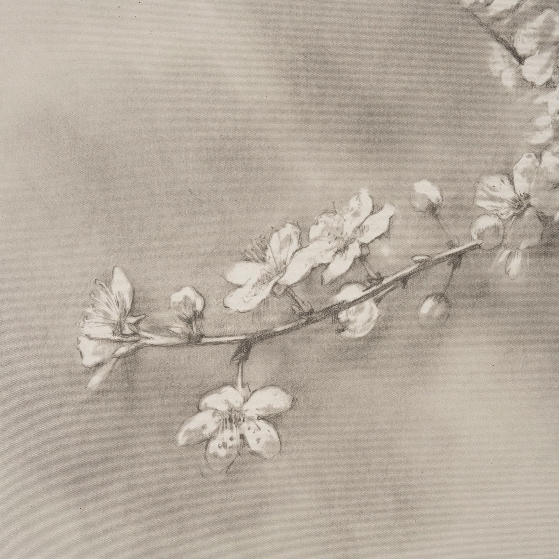 Cherry Blossom Sketch II by Mercana Studio a Hand Embellished Framed Art Print — product photograph
