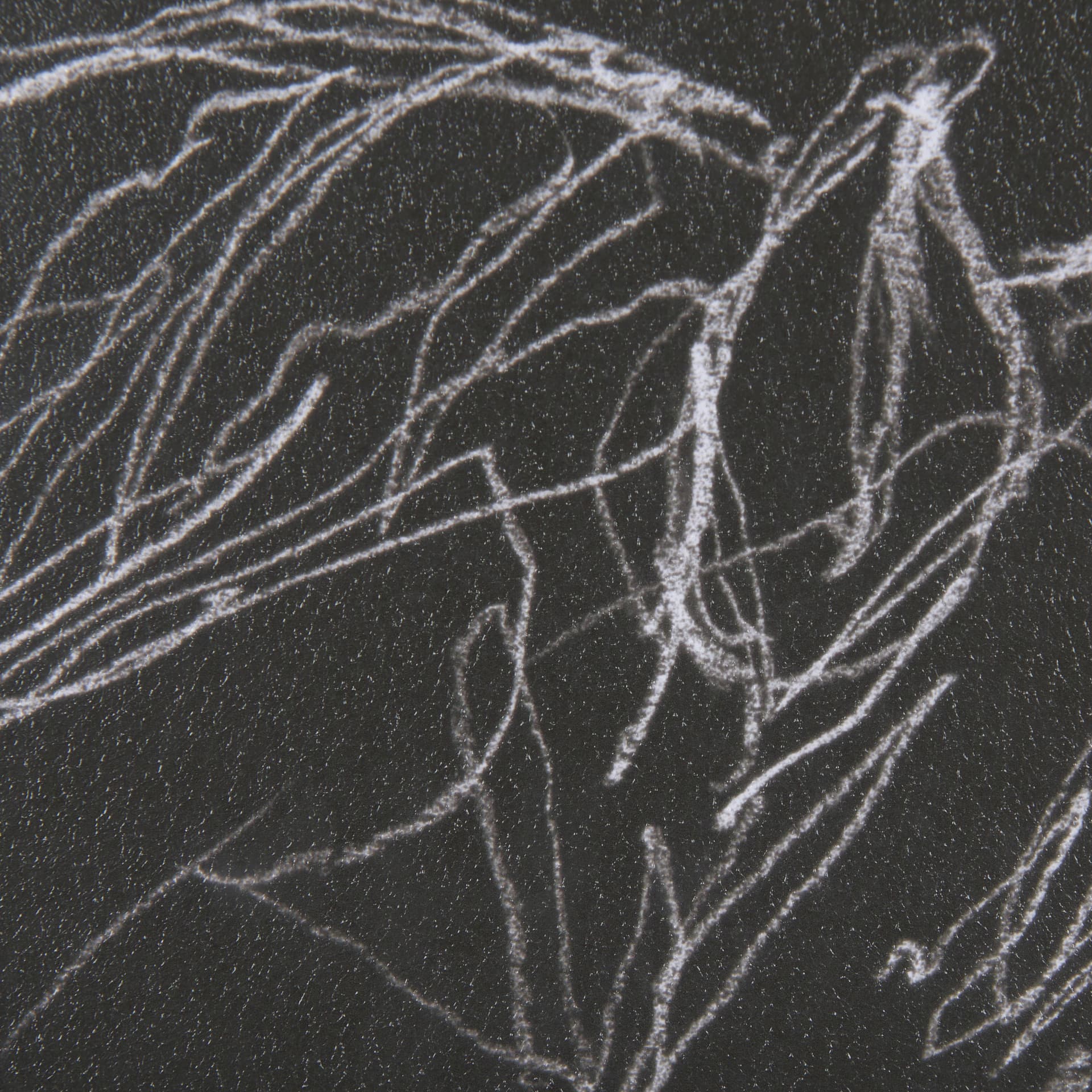 Thoroughbred Dark III by Mercana Studio Hand Embellished Textured Framed Art Print Matted under Glas — product photograph