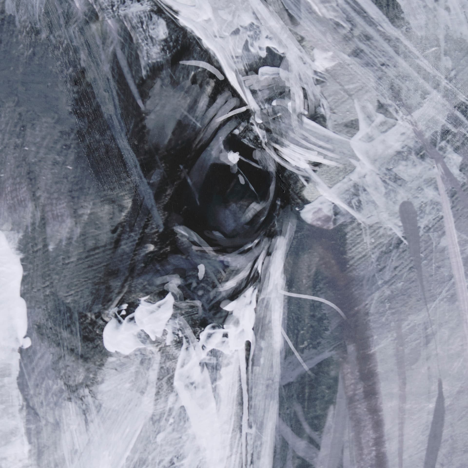 White Horse Portrait by Mercana Studio Hand Embellished Textured Framed Art Print Matted under Glass — product photograph