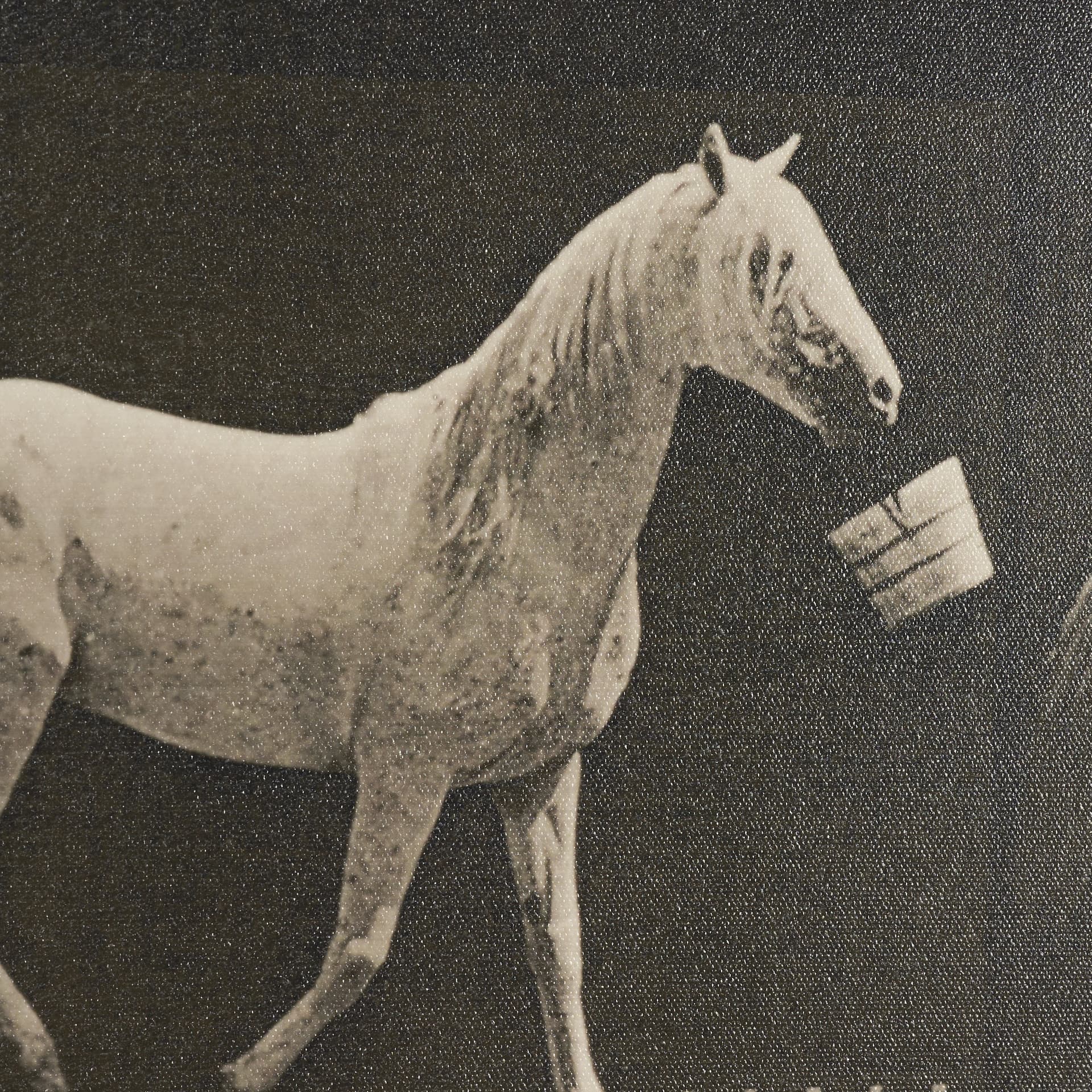 Walking Tall by Eadweard Muybridge Textured Framed CanvasPhoto Print — product photograph