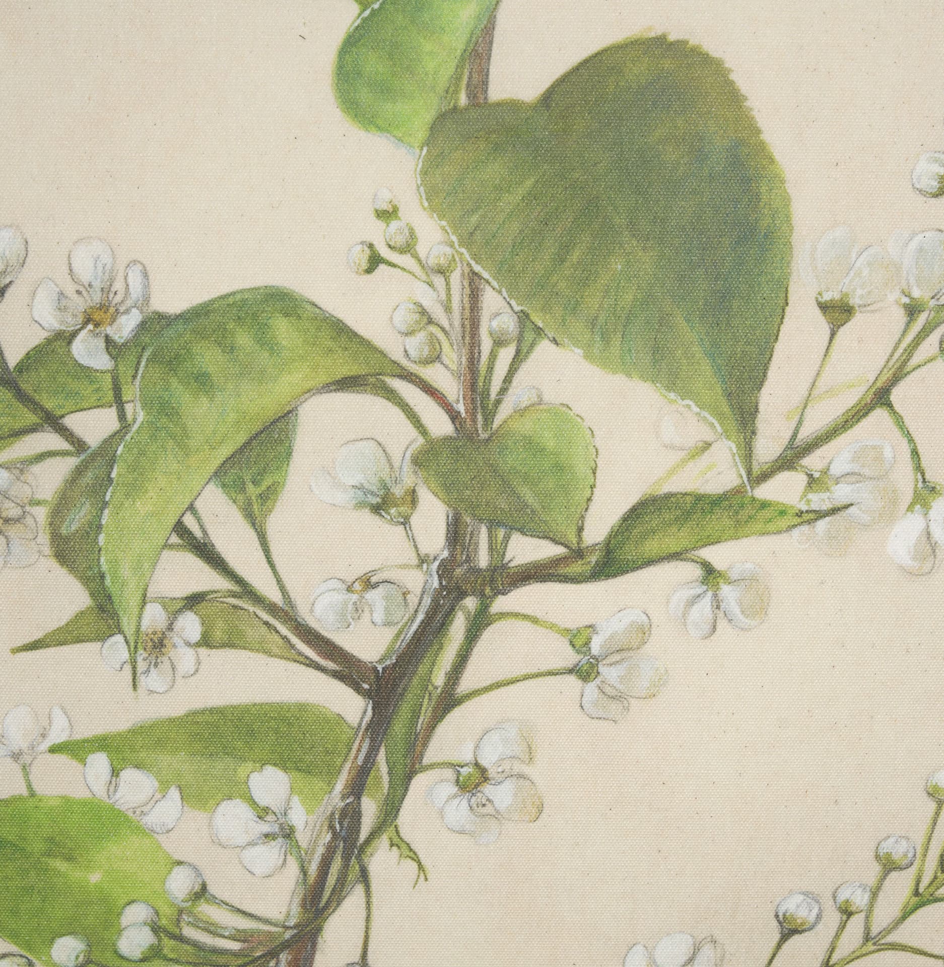 Botanical Study-Prunus Padus by Mercana Studio a Hand Embelished Textured Framed Art Print — product photograph