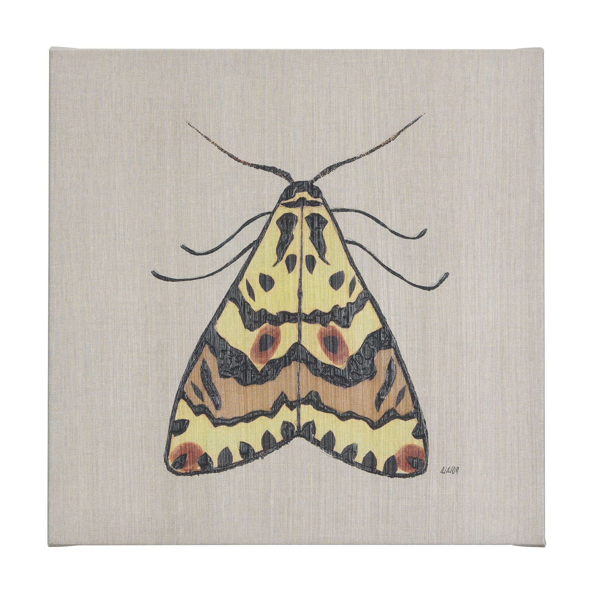 Moth III by Mercana Studio a Hand Embellished Textured Canvas — product photograph