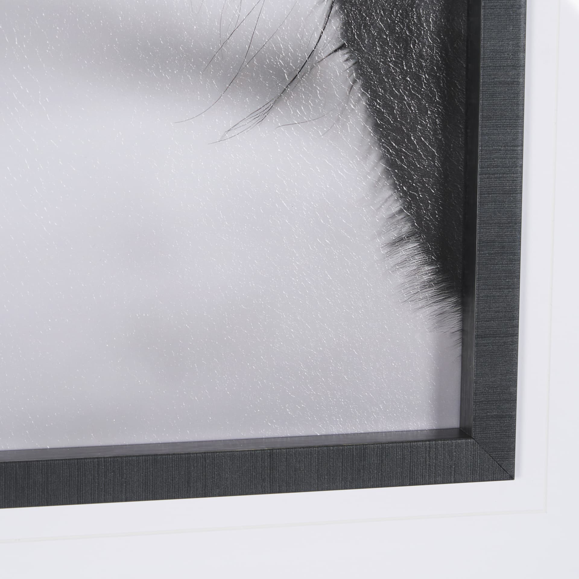 Wander by Chad Mackay a Hand Embellished Textured Framed Photo Art Print Matted under Glass — product photograph