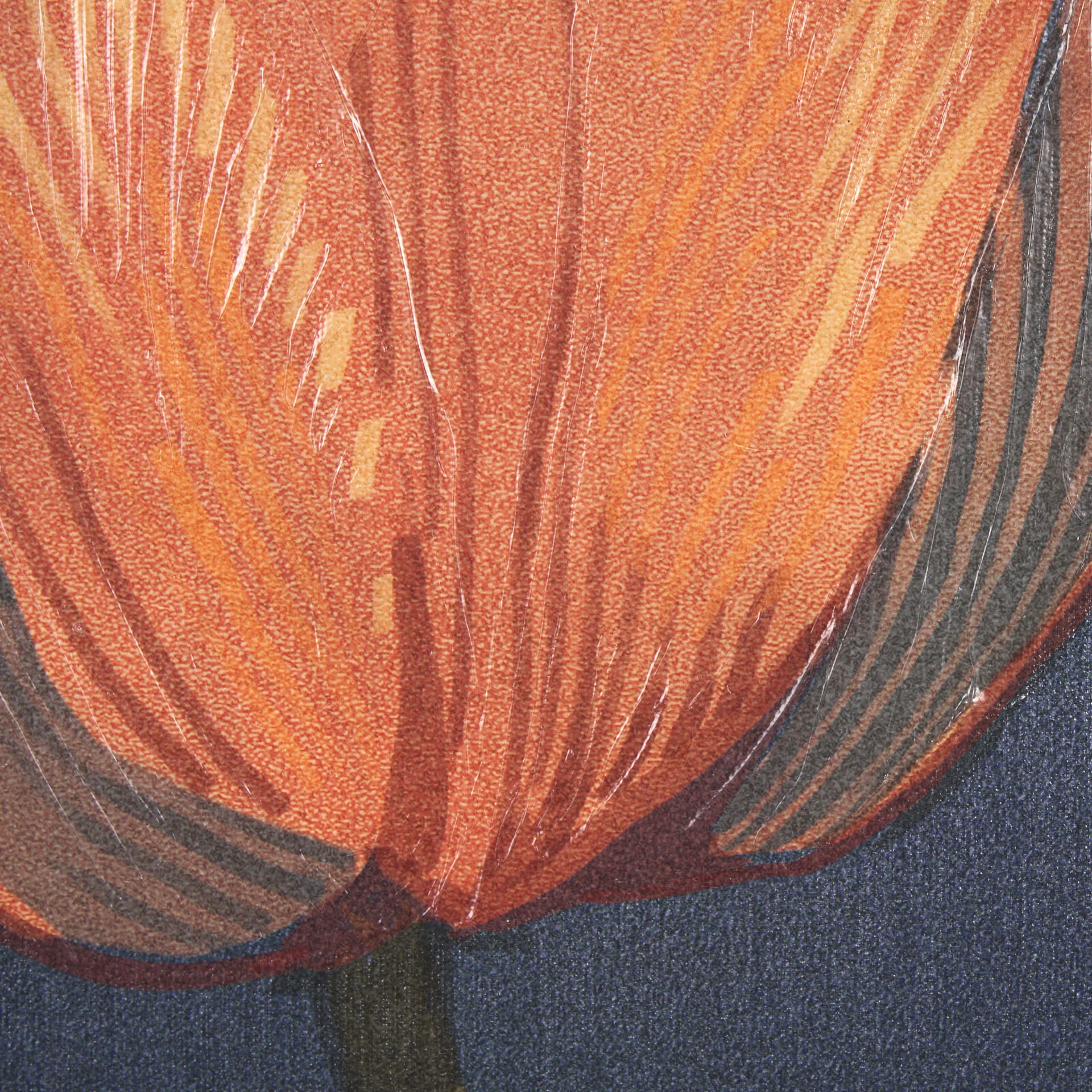 Flower Portrait II (TULIP) by Mercana Studio a Hand Embellished Textured Framed Art Print — product photograph