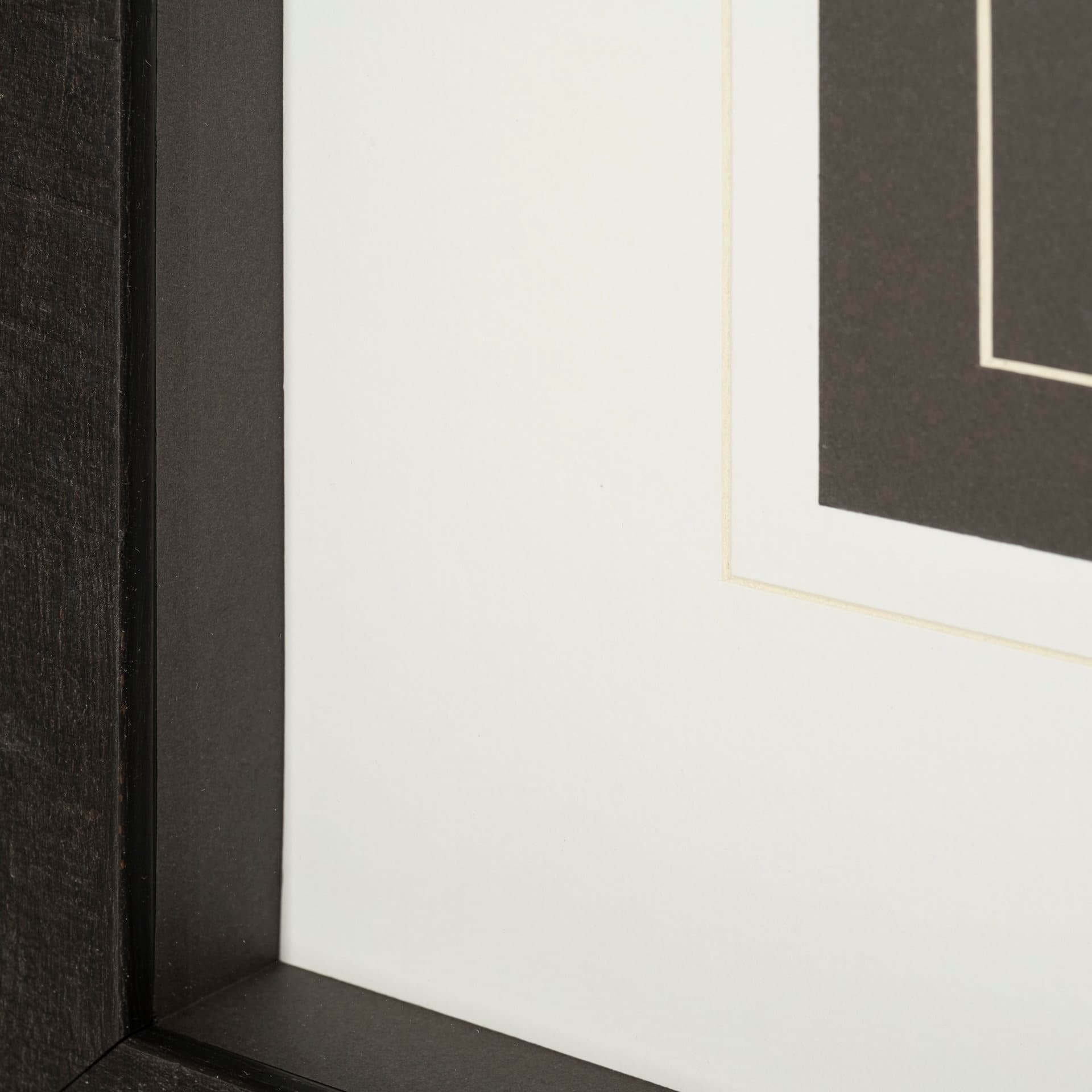 Feathered Friends by Nancy Crowell a Framed Art Print Matted under Glass — product photograph