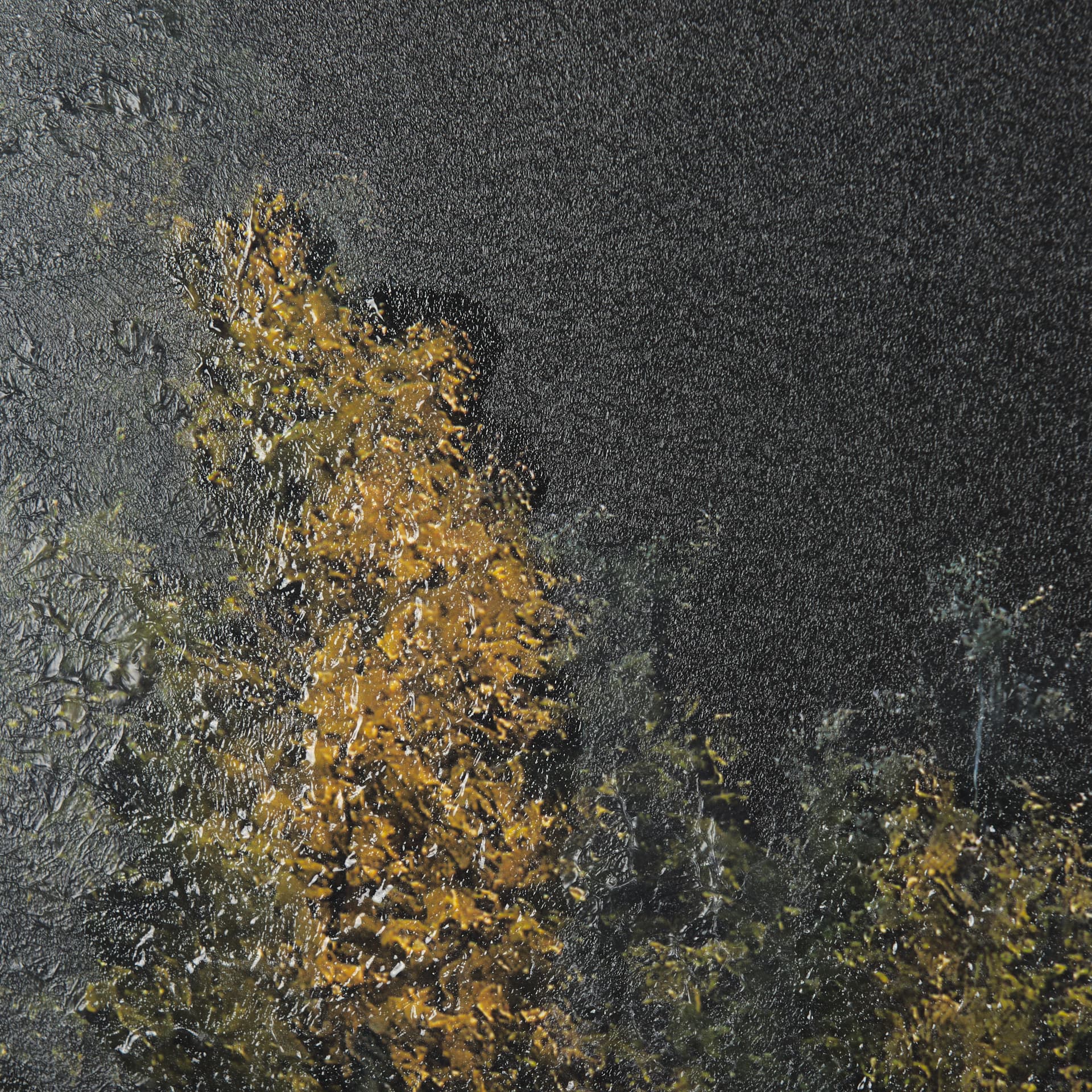 Water's Reflection-L by Chad Mackay a Hand Embellished Textured Framed Art Print Matted under Glass — product photograph