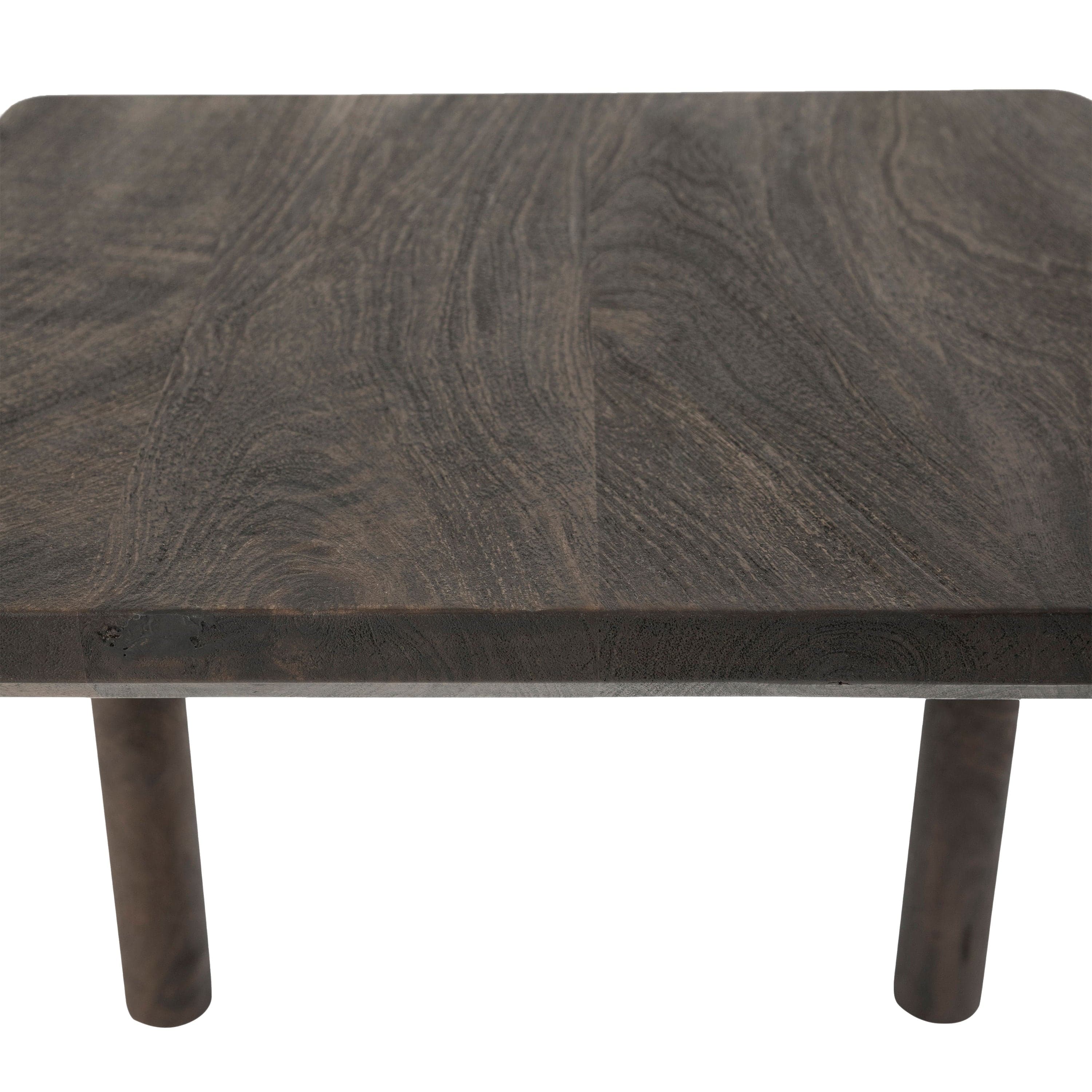 Clusia — product photograph