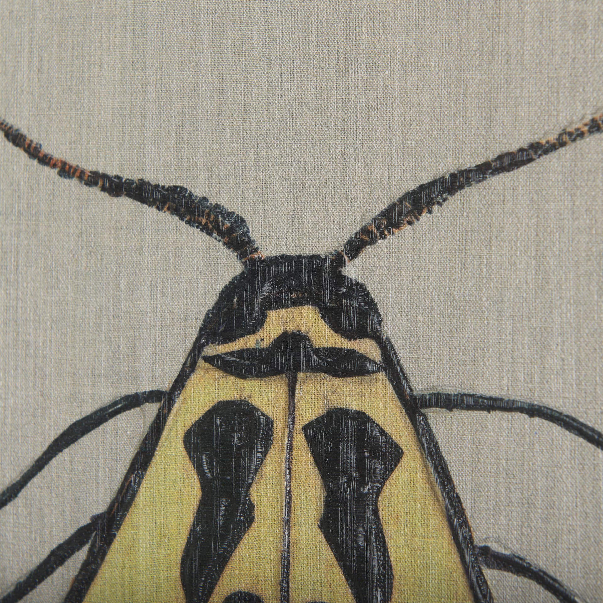 Moth III by Mercana Studio a Hand Embellished Textured Canvas — product photograph