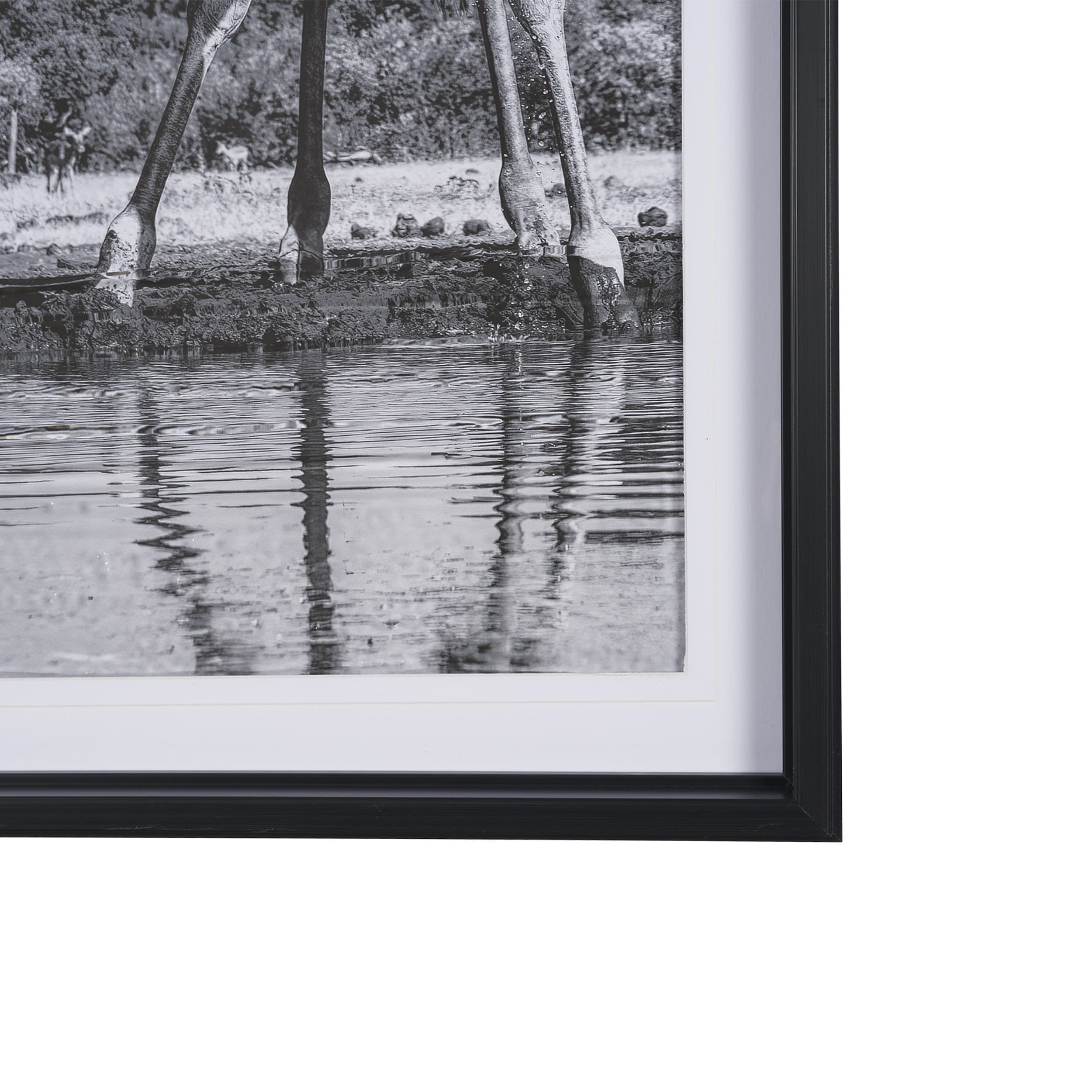 Thirsty Savanna Giraffes(Set of 2) by Jun Zuo Hand-Embellished Framed Photo Print Matted under Glass — product photograph