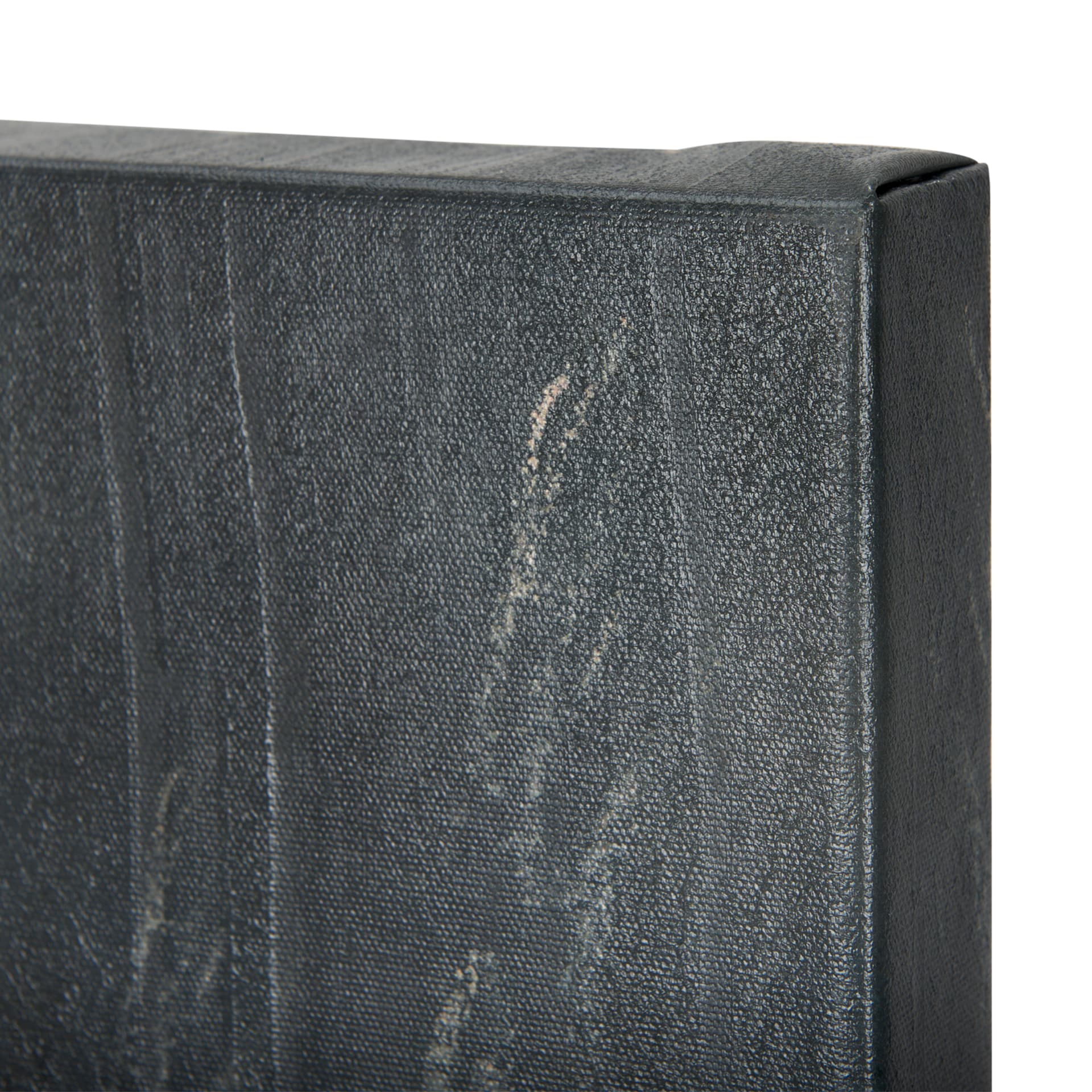 Animal Portrait II by Mercana Studio a Hand Embellished Textured Canvas — product photograph