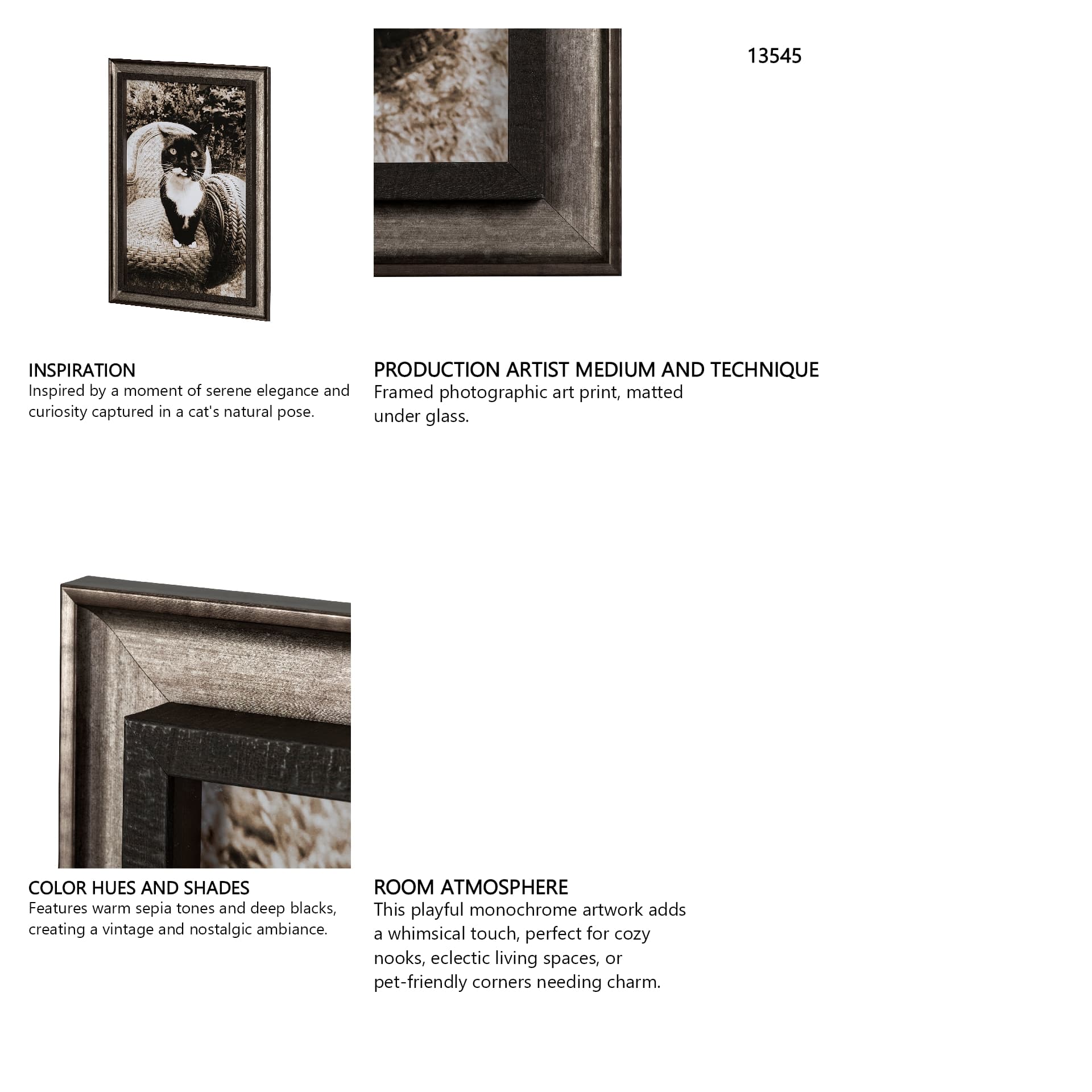 Kitty I by Jim Drafield a Framed Photo Art Print — in a styled room