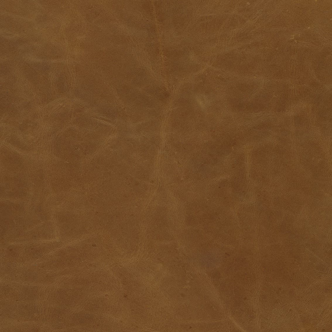 Hollyfield Backless 24.75in Seat Counter Stool | Cognac Brown Leather — product photograph