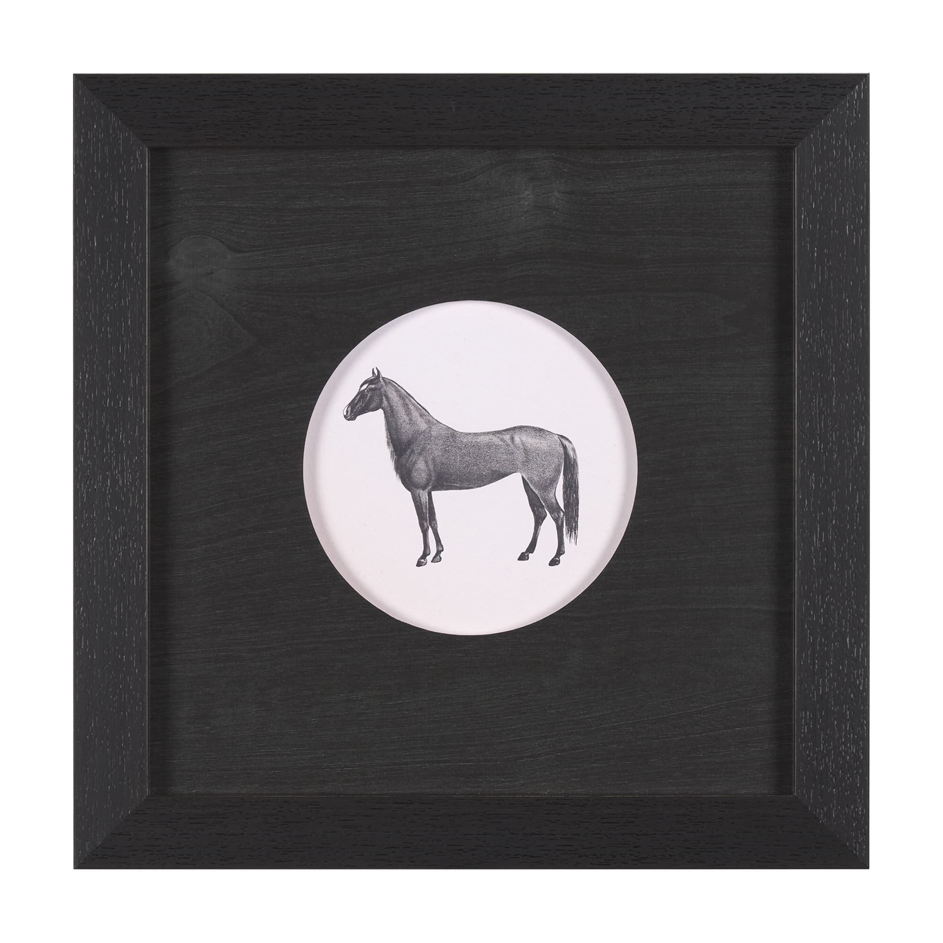 Down On The Farm IV by Wild Apple Portfolio a Framed Art Print Matted under Glass — product photograph