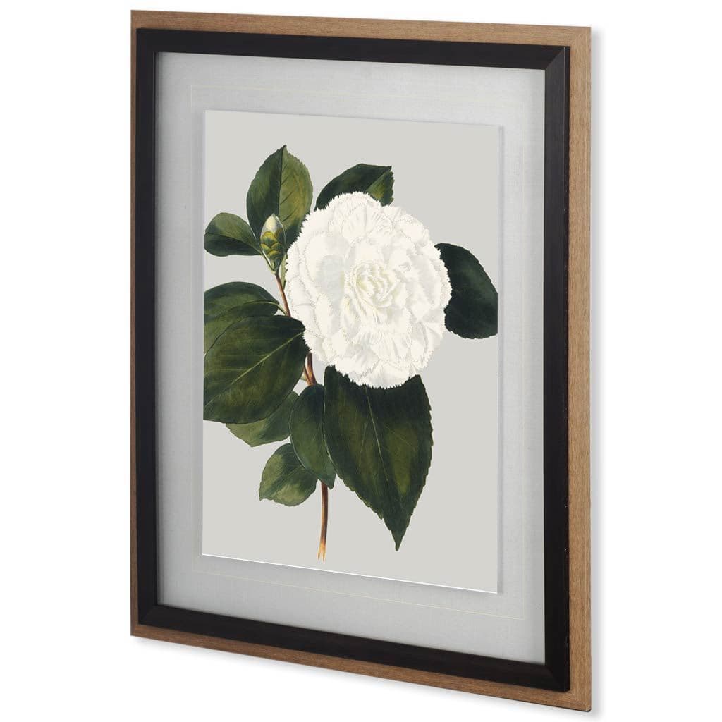 Camellia Japonica II by Vision Studio Hand Embellished Textured Framed Art Print Matted under Glass — product photograph