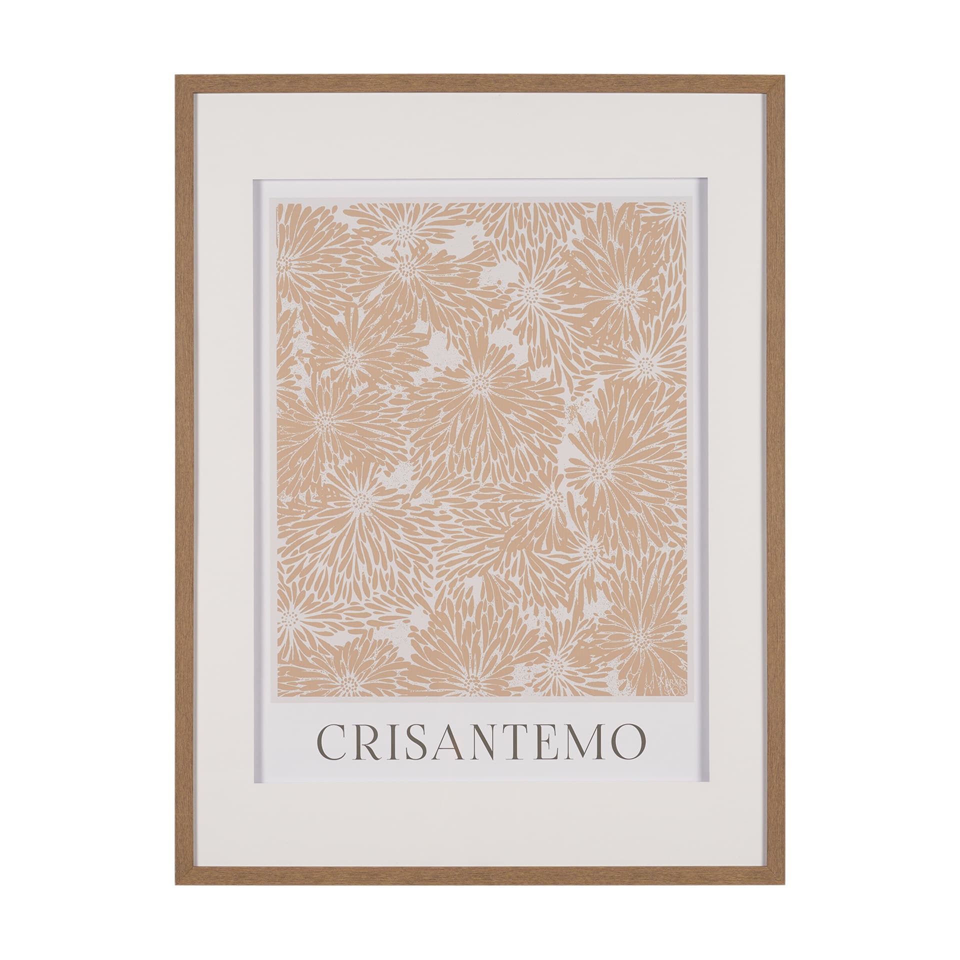 Belleza En Flores III by Mercana Studio a Framed Art Print Matted under Glass — product photograph