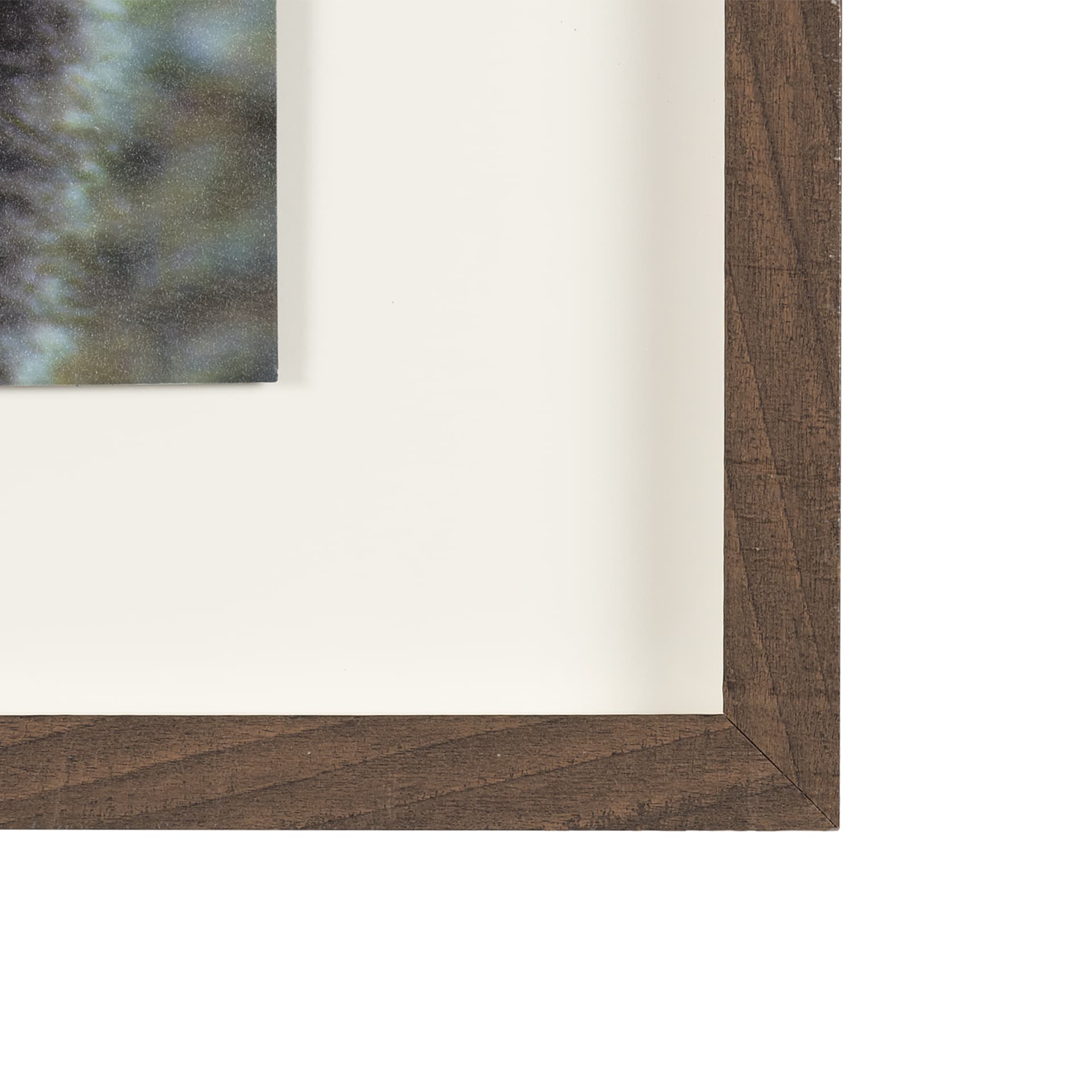 Grizzly Bear by Chad Mackay a Hand Embellished Textured Framed Photo Art Print Matted under Glass — product photograph