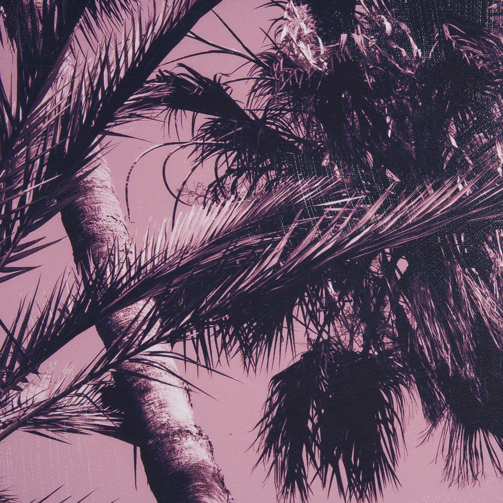 Pink Palms II by Deborah Revell a Hand Embellished Framed Photo Art Print — product photograph