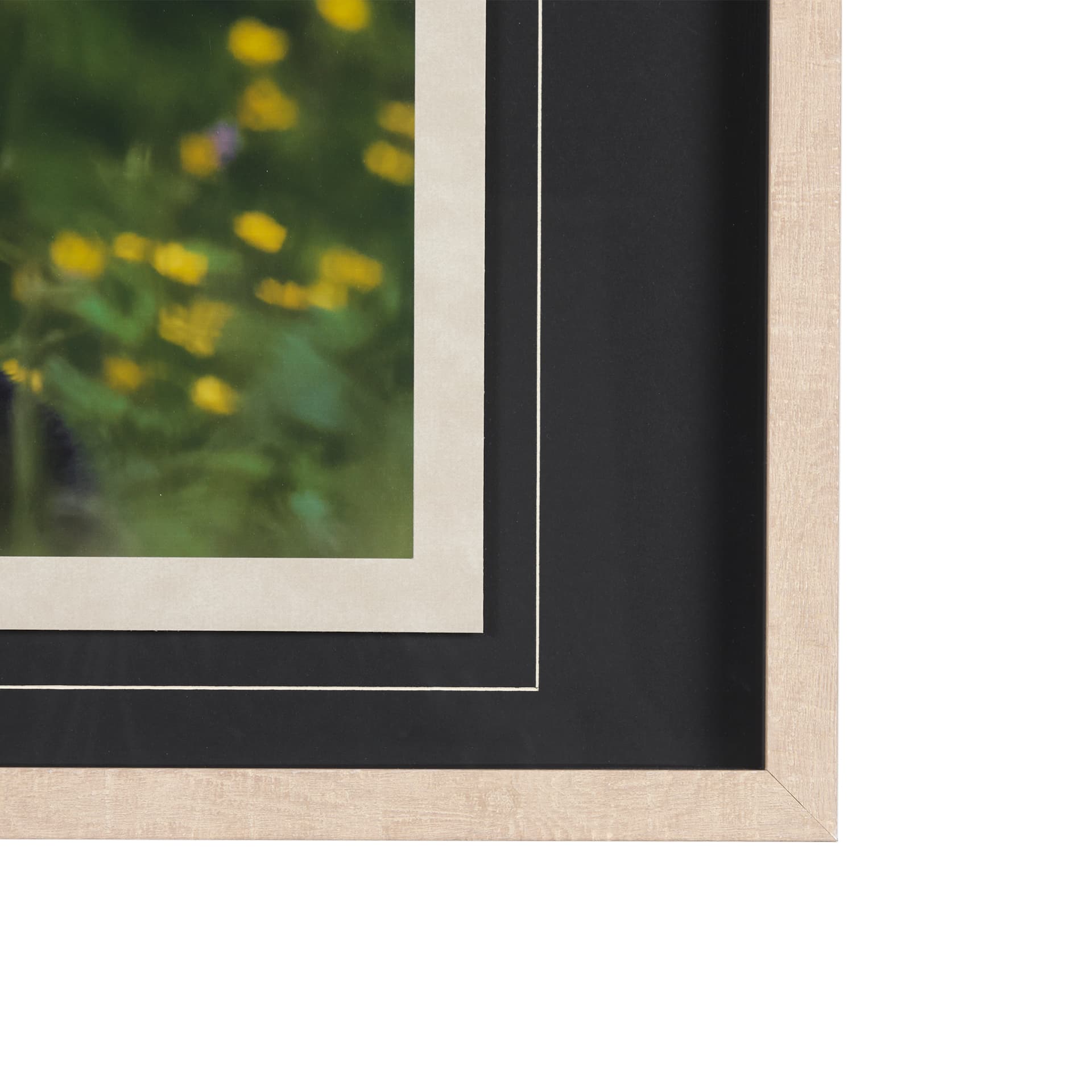 Bear by Chad Mackay a Framed Photo Art Print Matted under Glass — product photograph