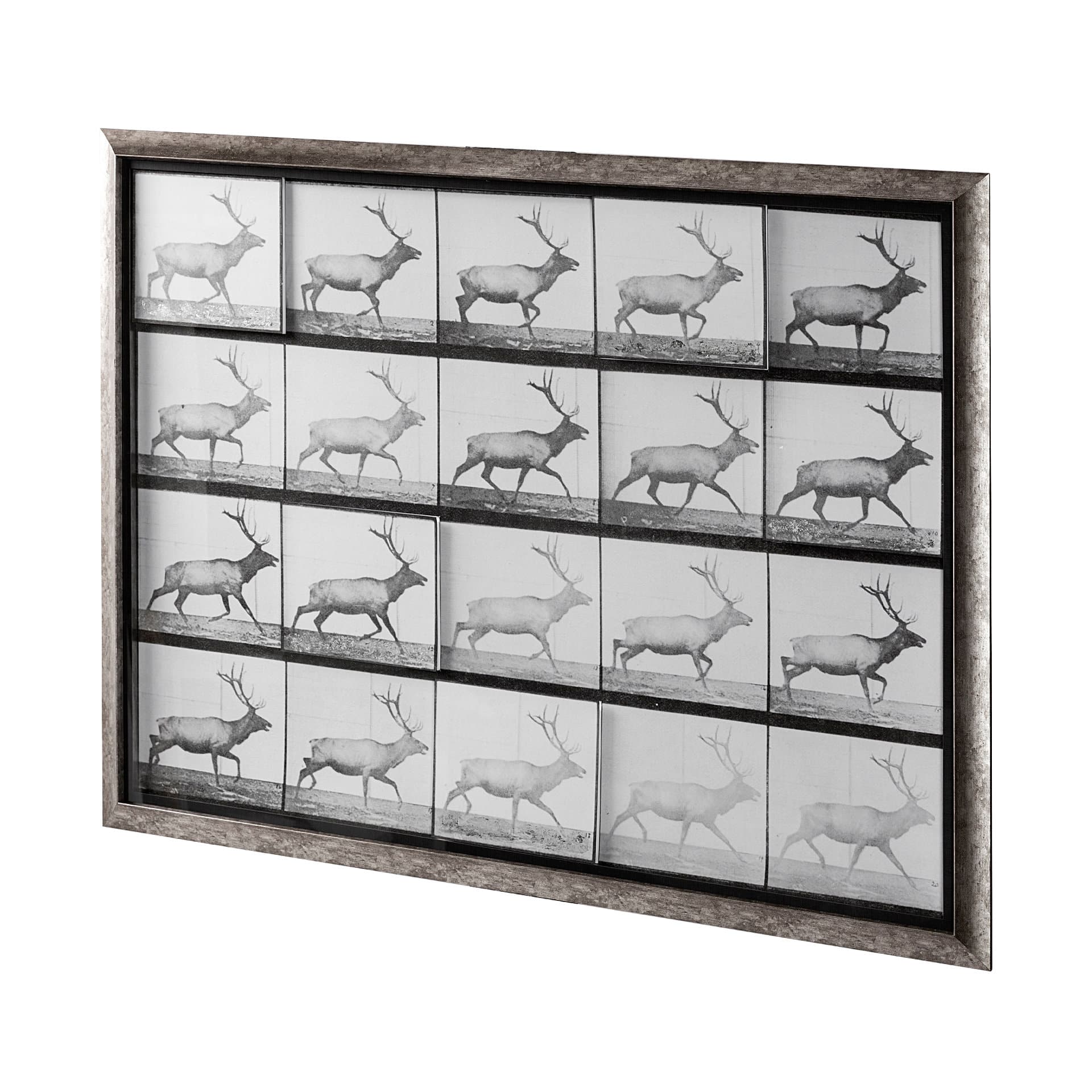 Elk Trotting by Eadweard Muybridge a Hand Embellished Textured Framed Art Print Matted under Glass — product photograph