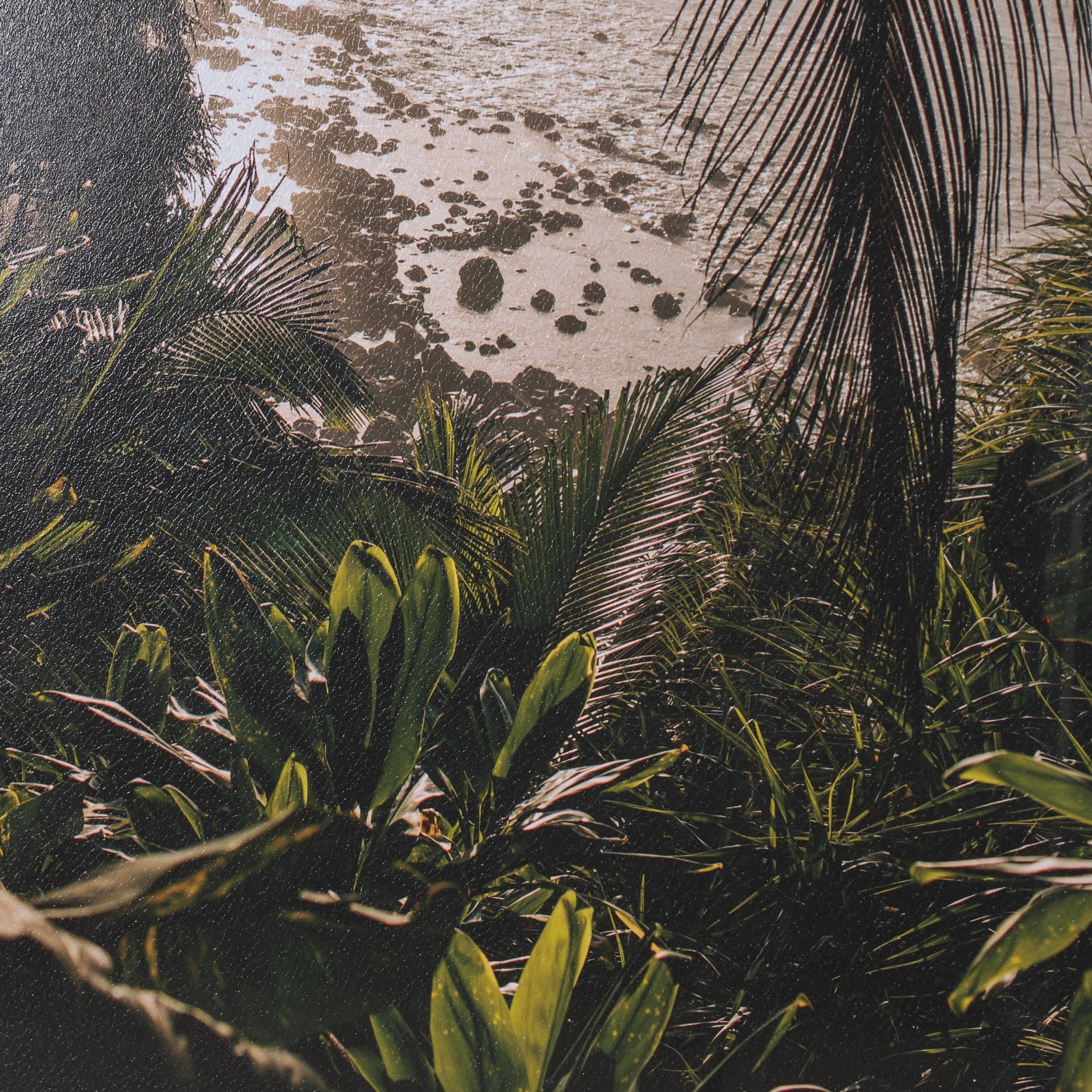 Princeville Kauai Jungle by Stefan and Audrey Textured Framed Photo Print Matted under Glass — product photograph