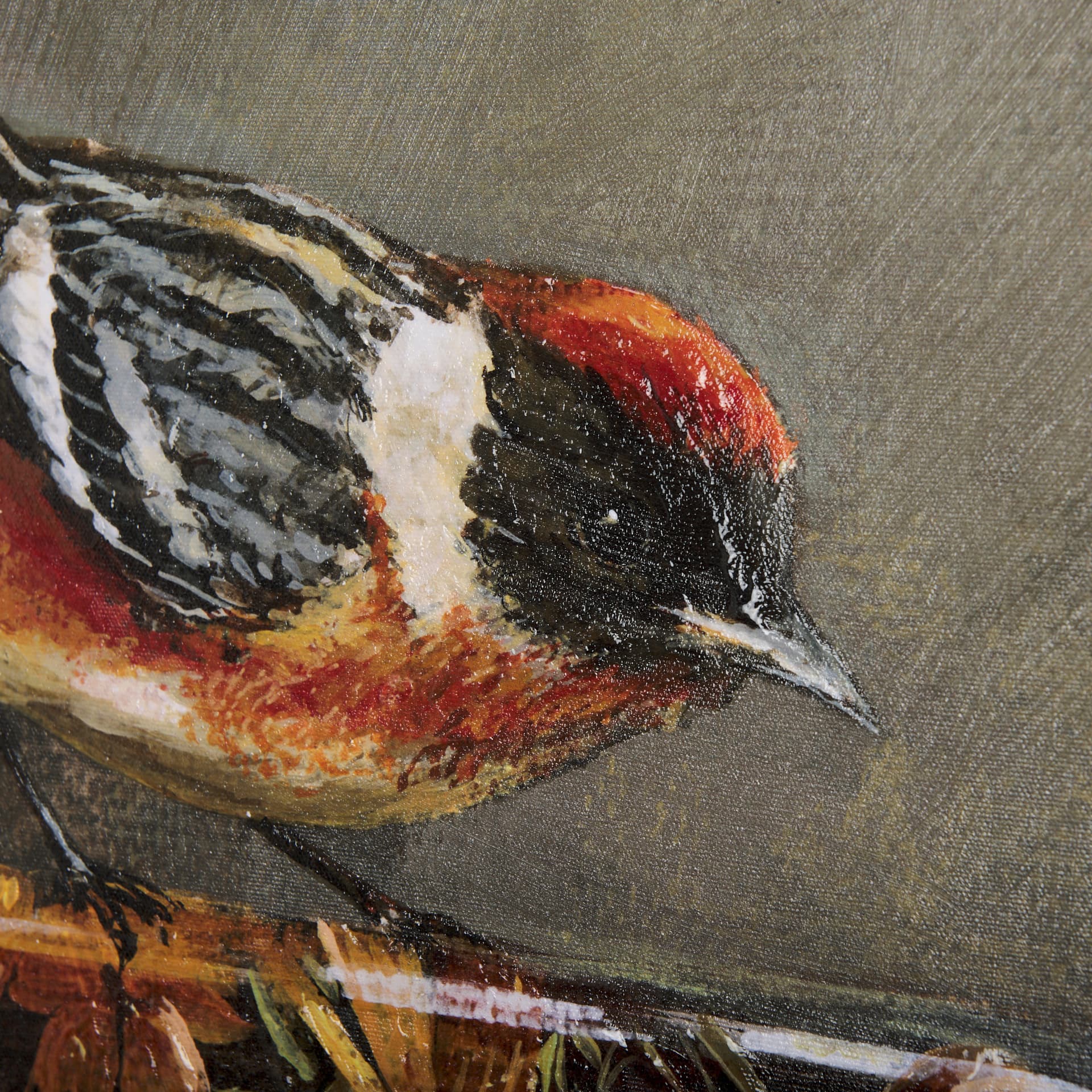Graceful Poise III (Bay-Breasted Warbler)(30 x 40) — product photograph