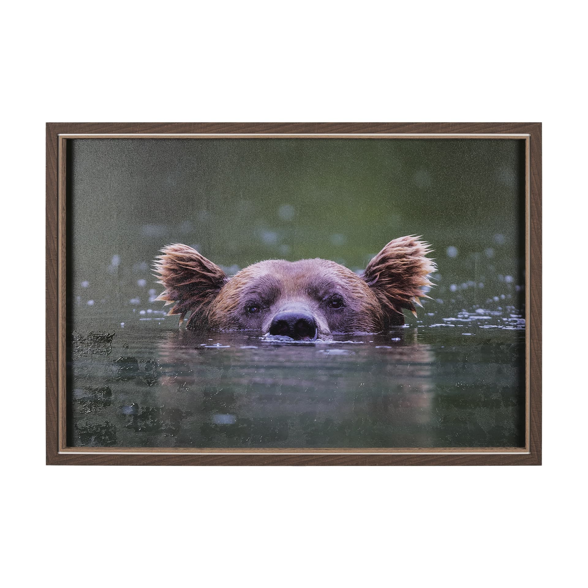 Peeking Out by Mercana Studio a Hand Embellished Textured Framed Photo Art Print — product photograph
