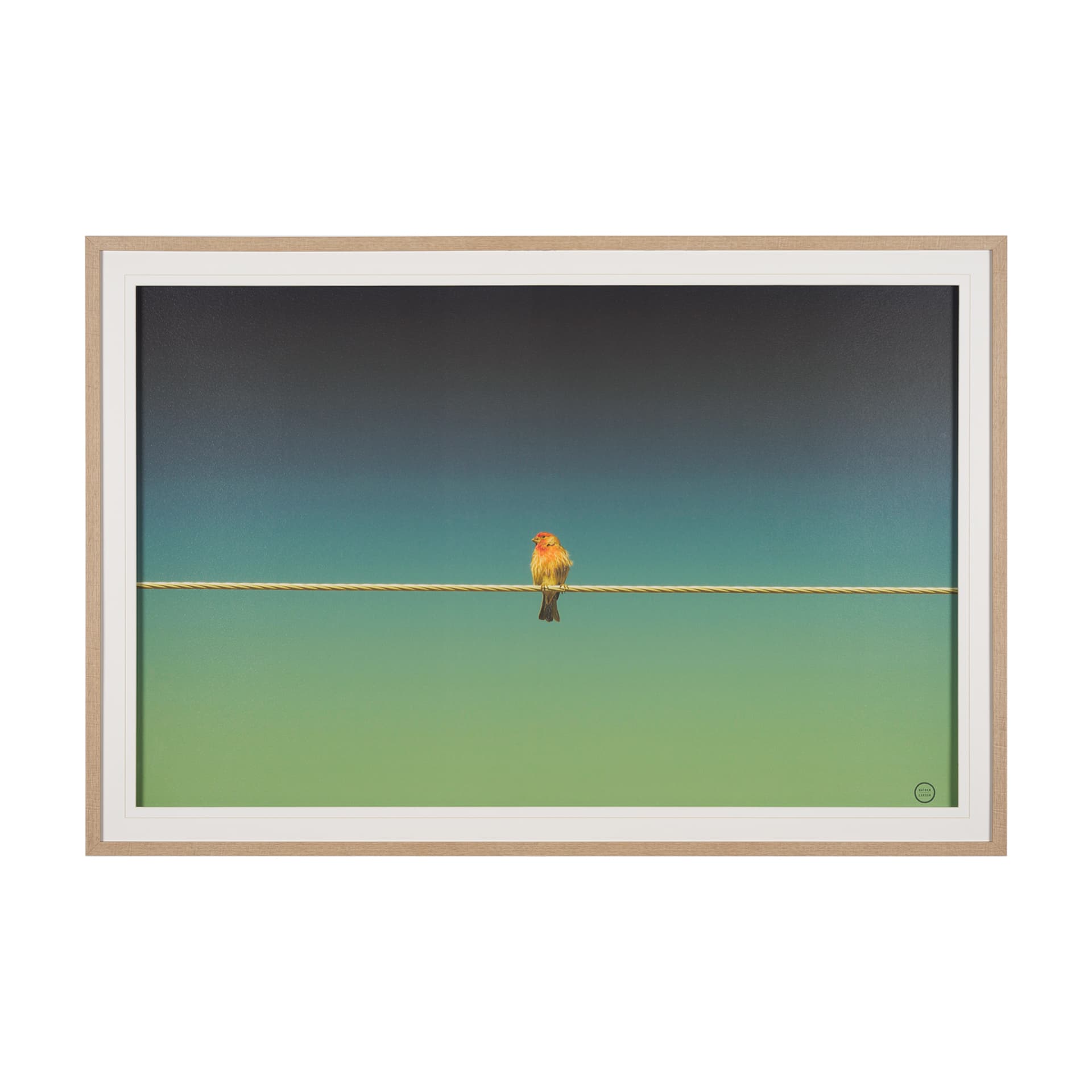 Wired Finch by Nathan Larson a Hand Embellished Framed Photo Art Print Matted under Glass — product photograph