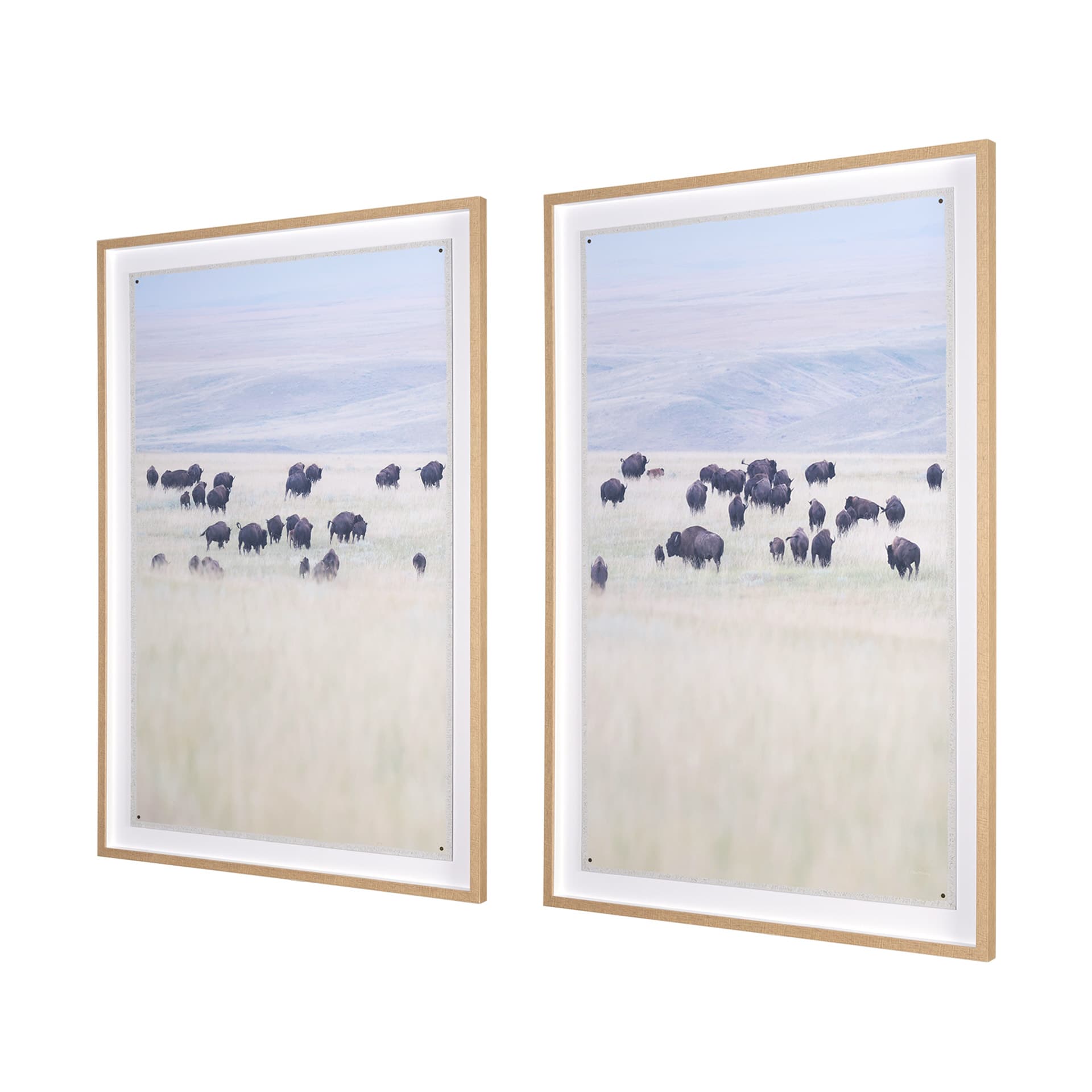 Grazing Herd (Set of 2) by Chad Mackay a Framed Photo Art Print Matted under Glass — product photograph