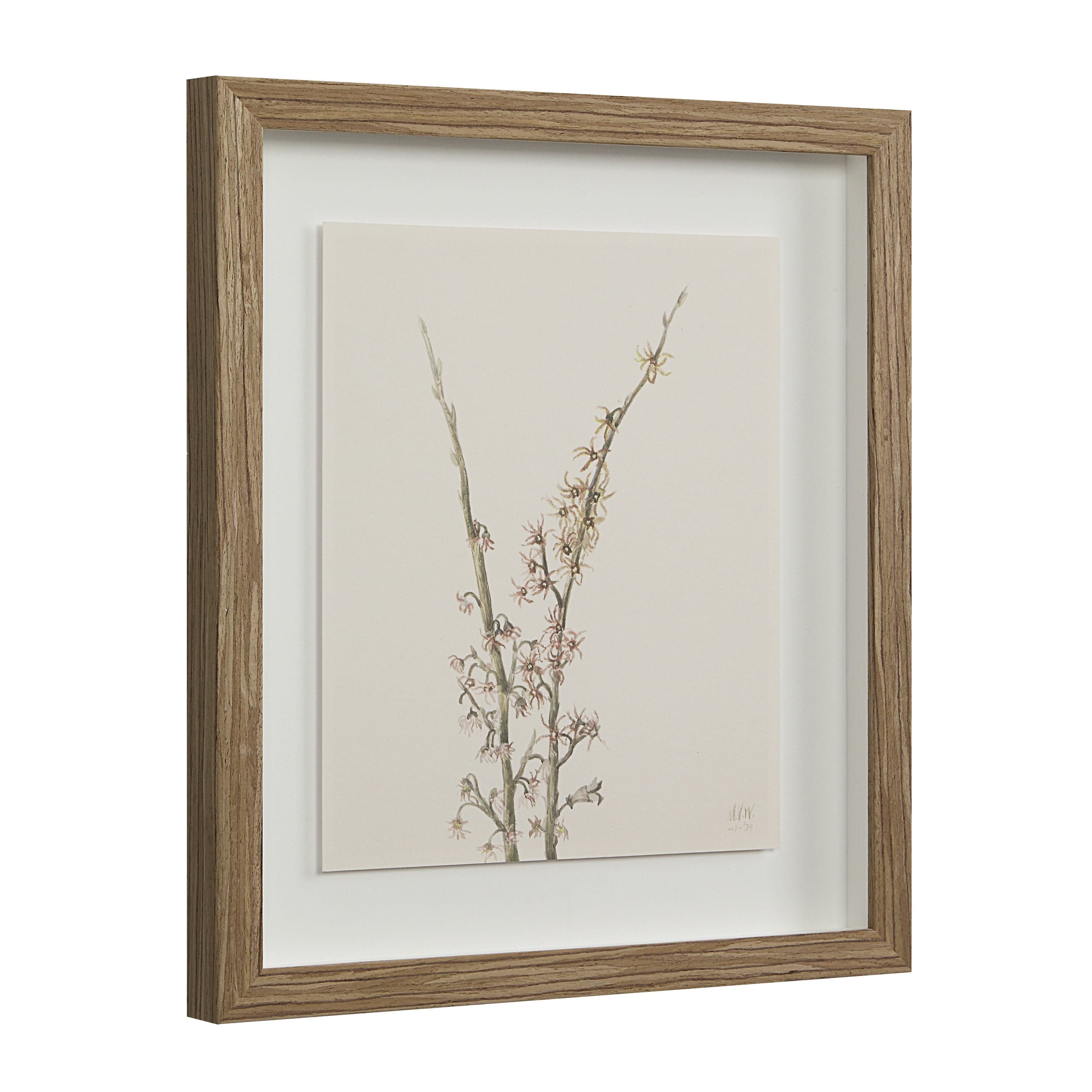 Crema — product photograph