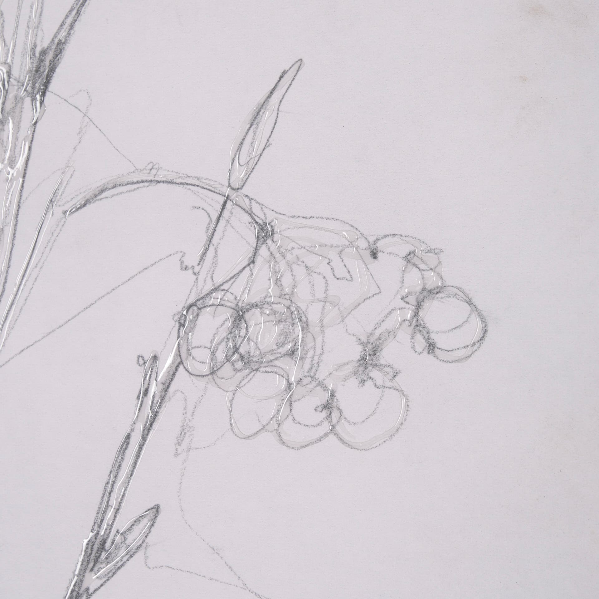 Chokecherry 3 by Mercana Studio a Hand Embellished Framed Art Print Matted under Glass — product photograph