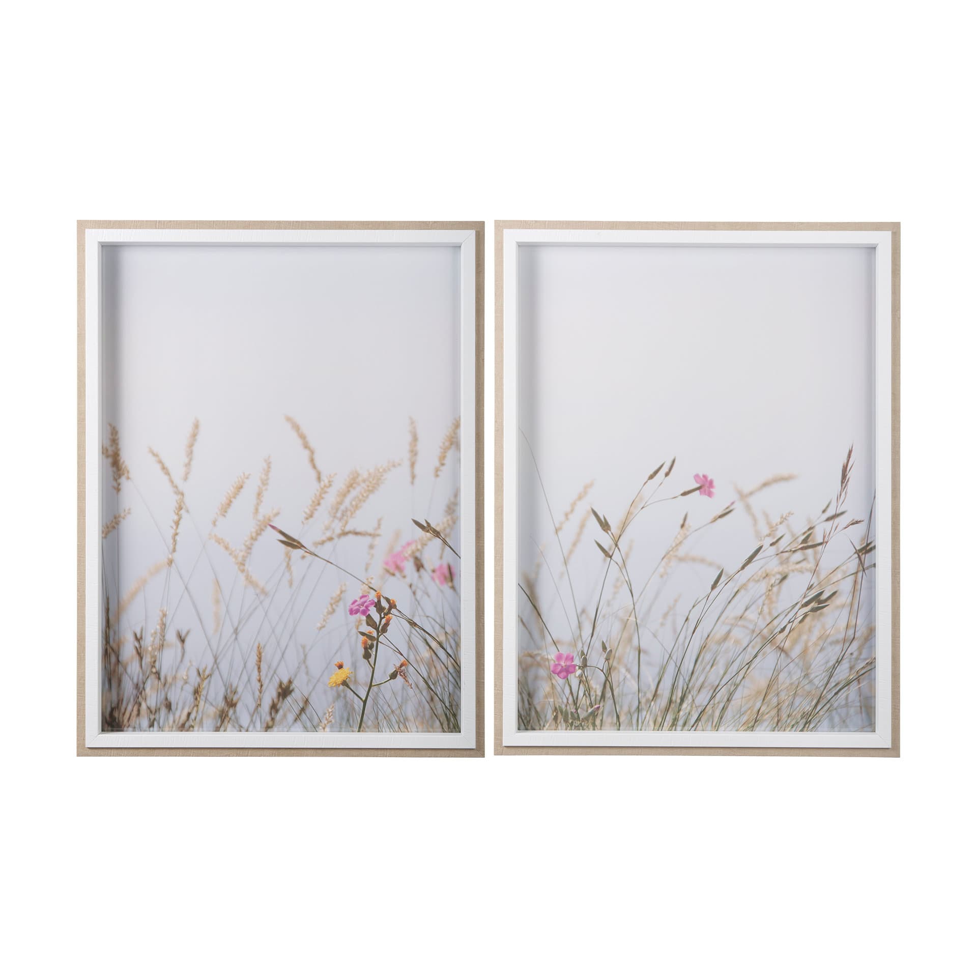 Wildflower Fade - L by Mercana Studio a Framed Photo Art Print Matted under Glass — product photograph