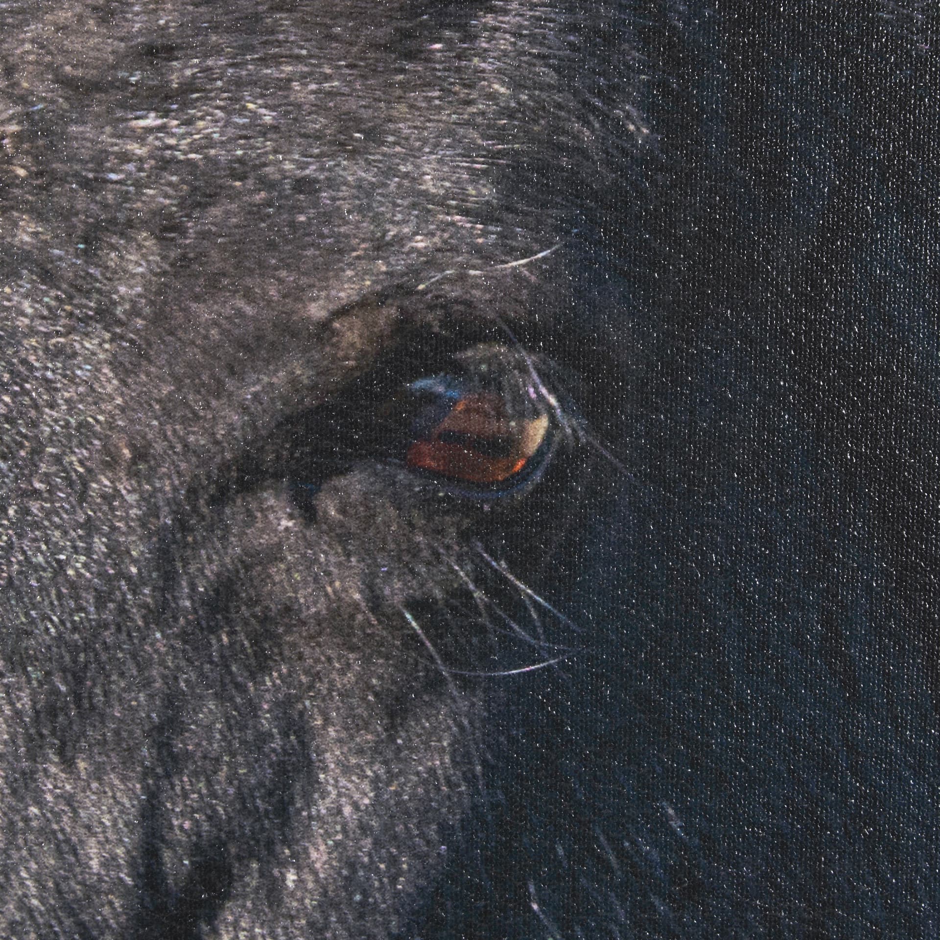 Wild Horses by Gary Blatter a Hand Embellished Textured Framed Photo Art Print — product photograph