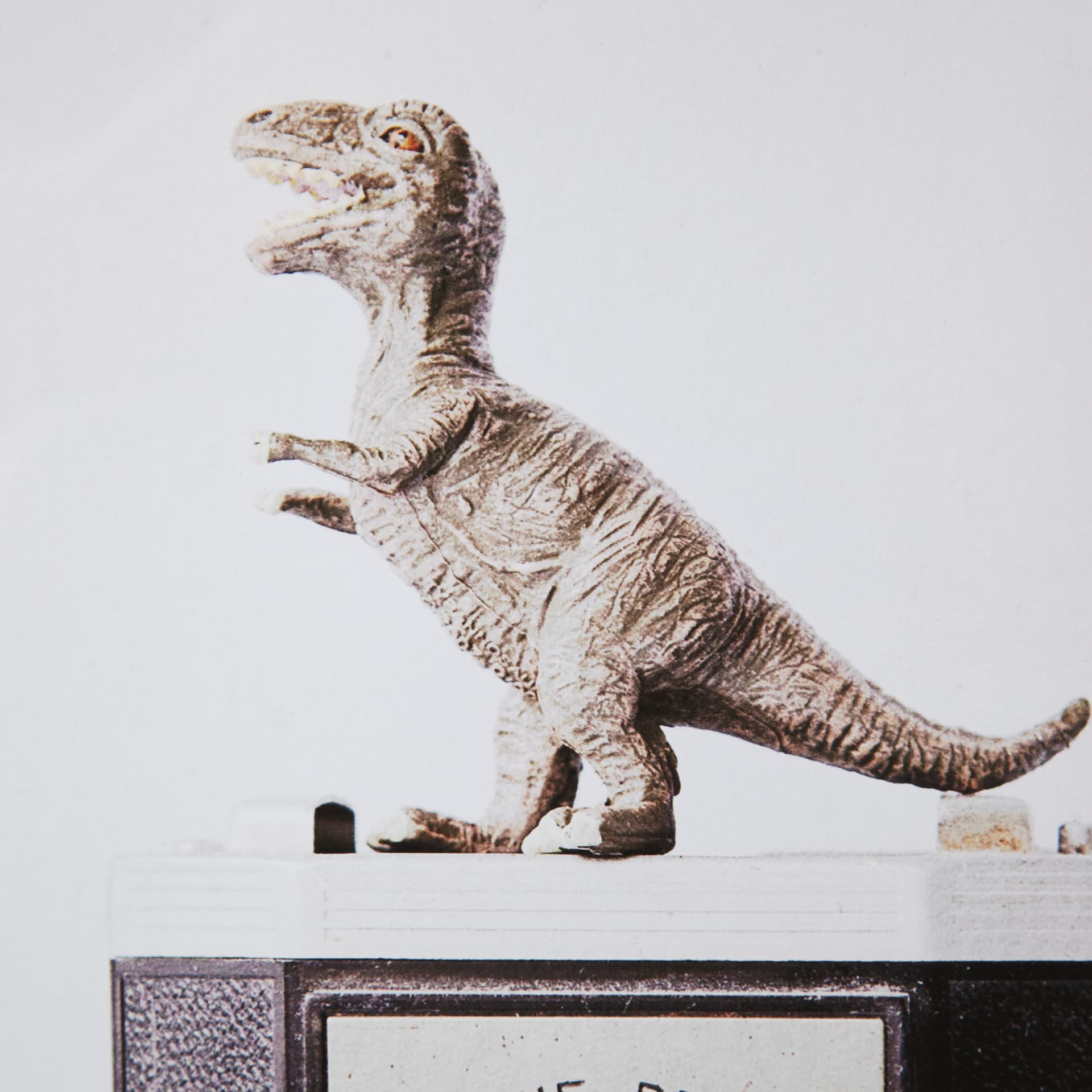 T-rex & Vintage Camera by Susannah Tucker Photography a Framed Photo Art Print Matted under Glass — product photograph