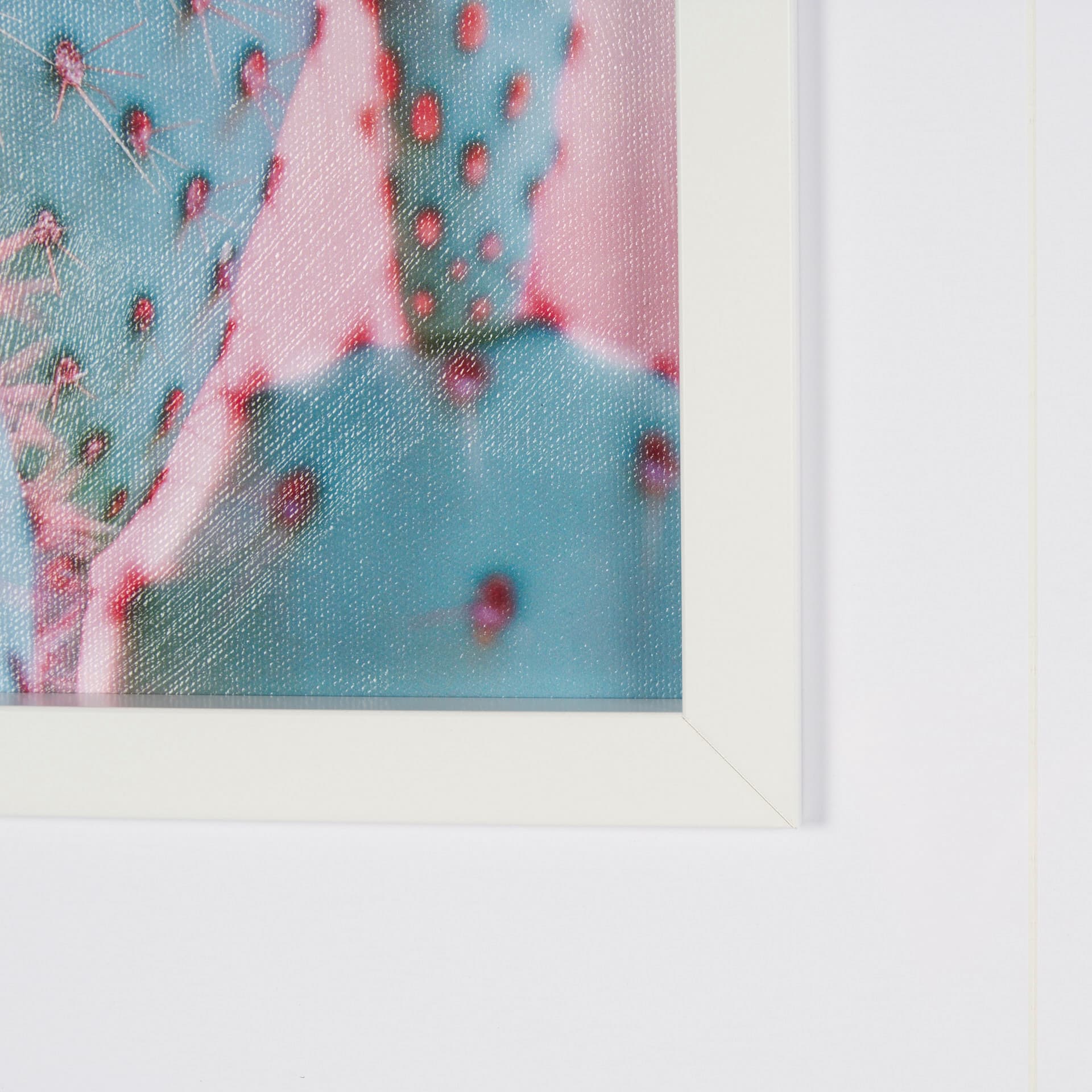 Blush Botanicals - Spines by Philippe Hugonnard a Hand Embellished Framed Photo Art Print Matted und — product photograph