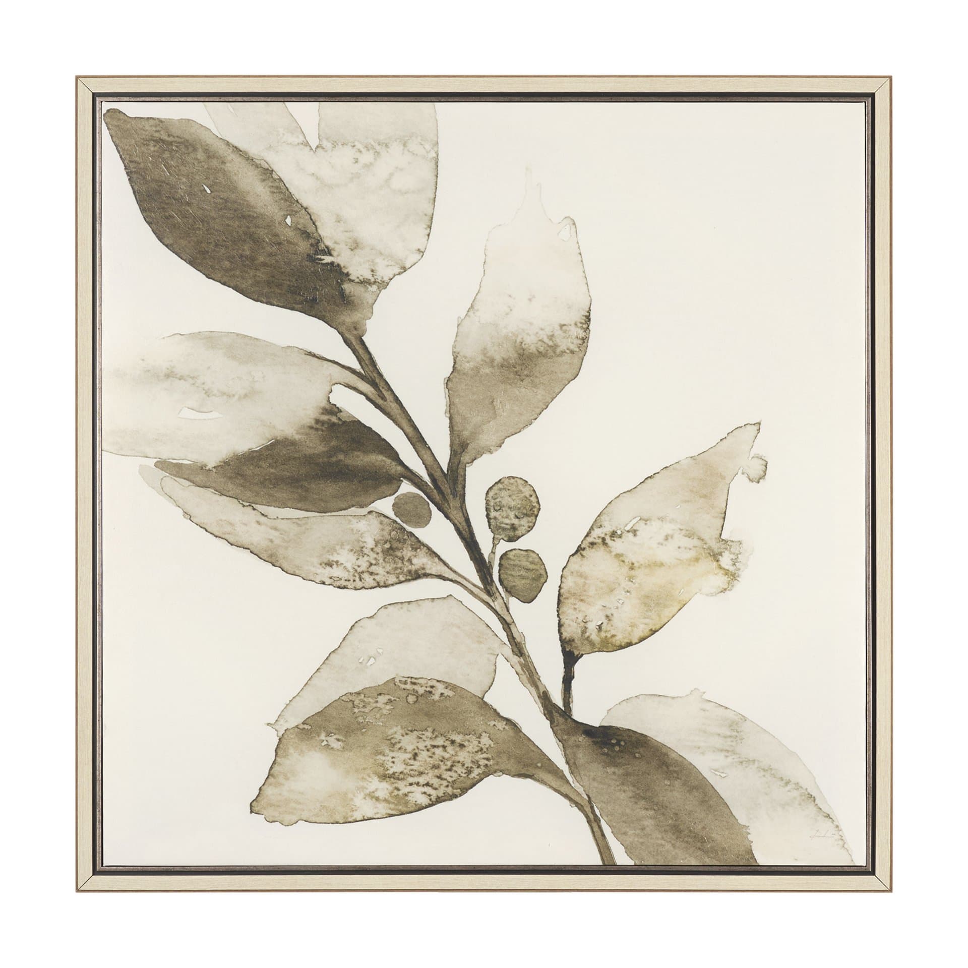 Cornus Alba II by Mercana Studio Hand-Embellished Textured Framed Canvas Artwork — product photograph