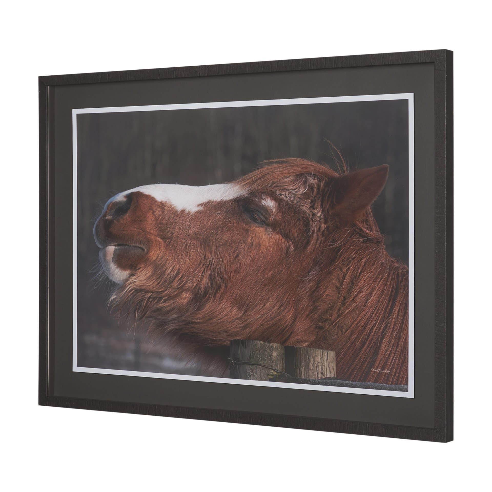 Hay over Here. by Chad Mackay FramedPhoto Print Matted under Glass — product photograph
