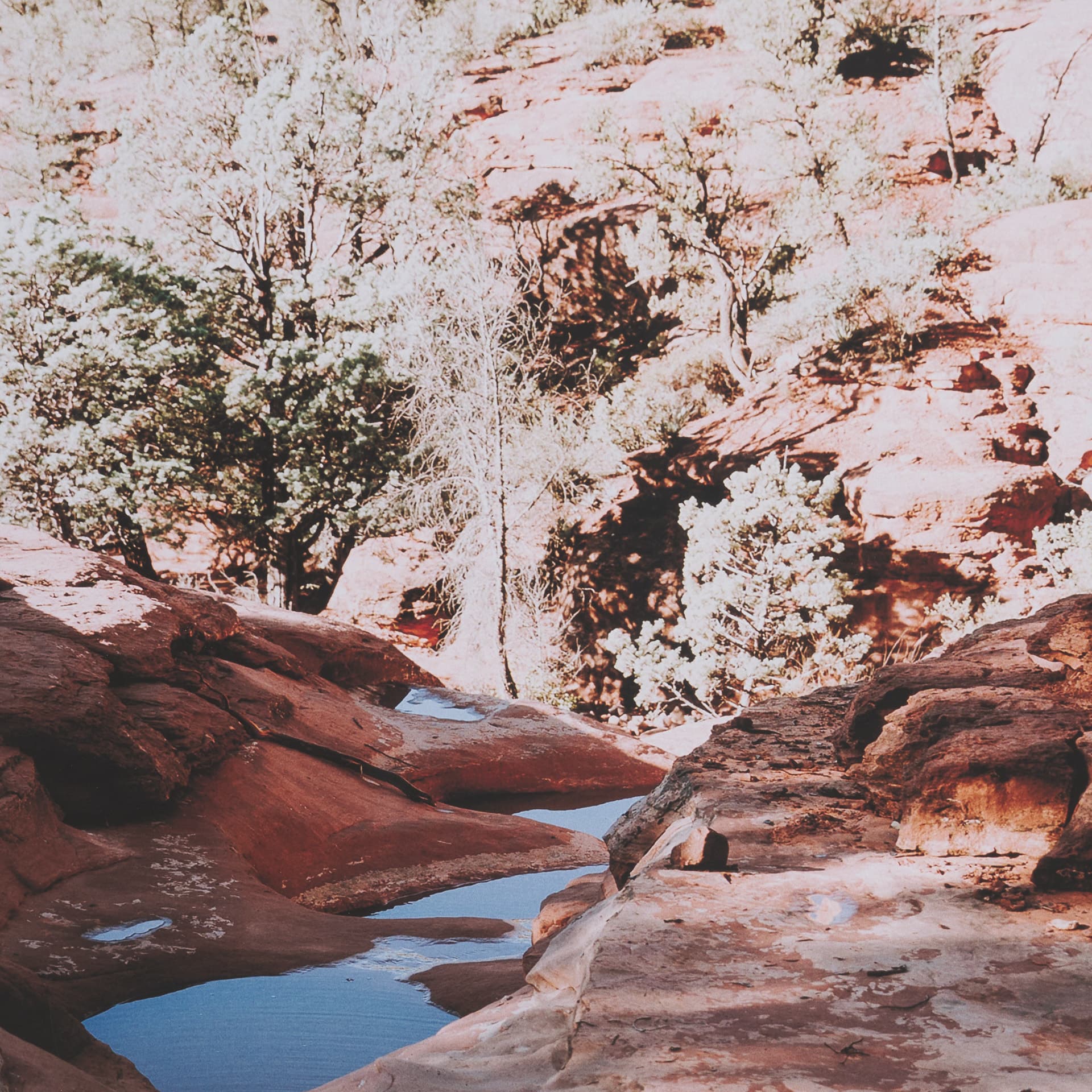 Sandstone in Sedona by Kelly Frere FramedPhoto Print Matted under Glass — product photograph