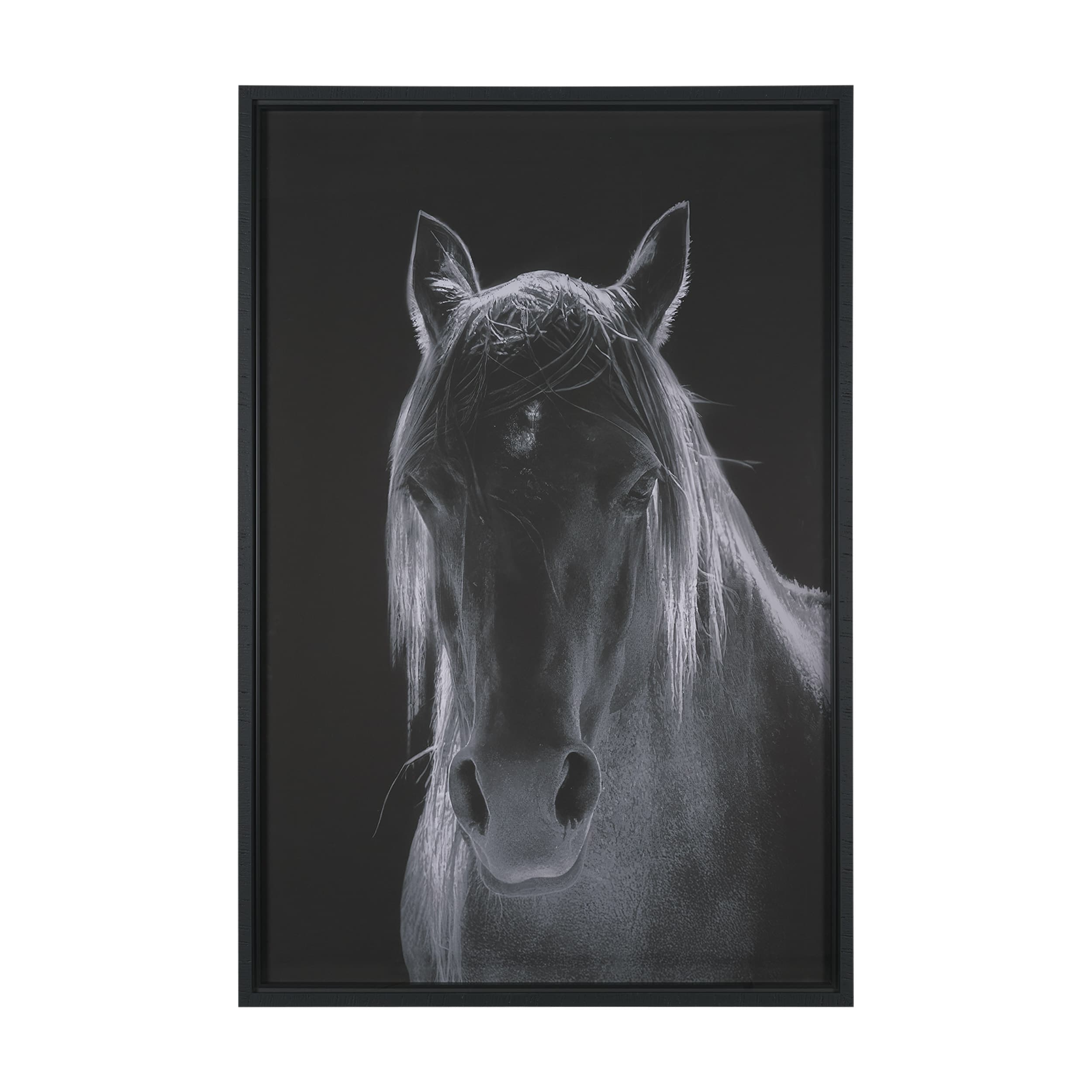 Shadowborn Majesty by Frank Ma Framed Photo Print Matted under Glass — product photograph