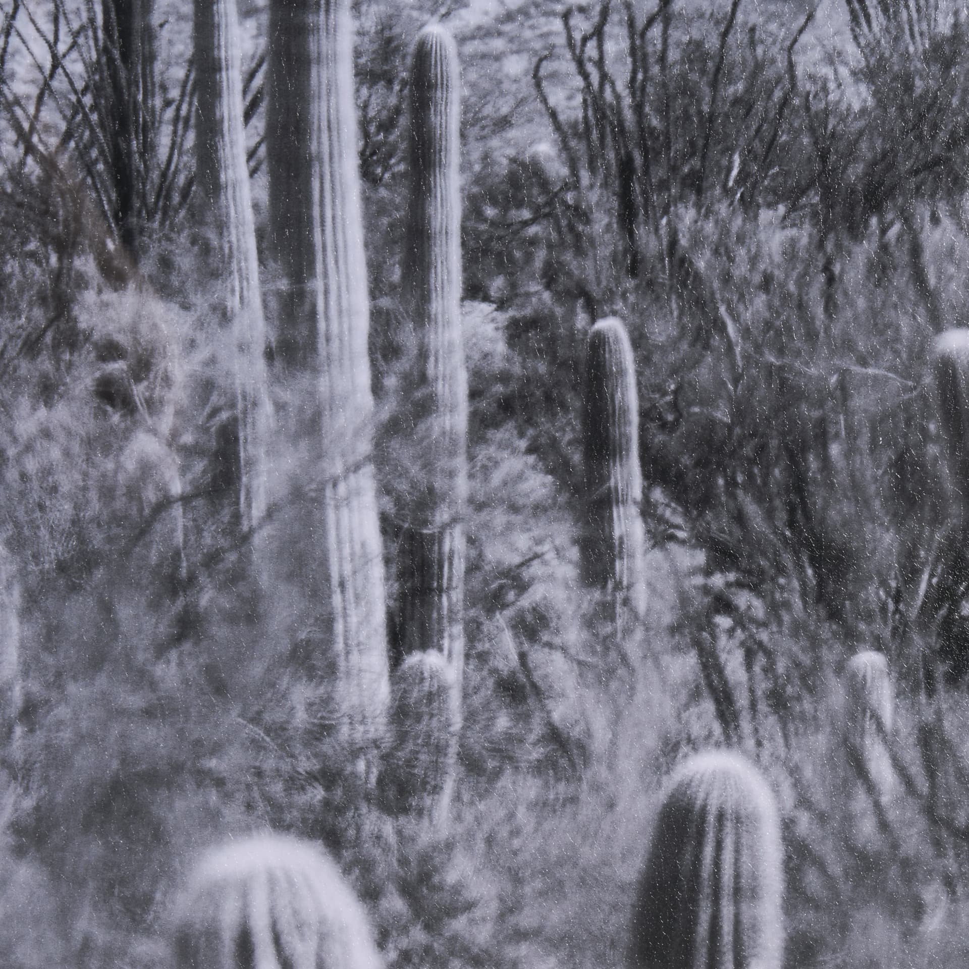 American Borderlands by Nathan Larson Hand Embelished Textured Framed Photo Art Print Matted under G — product photograph