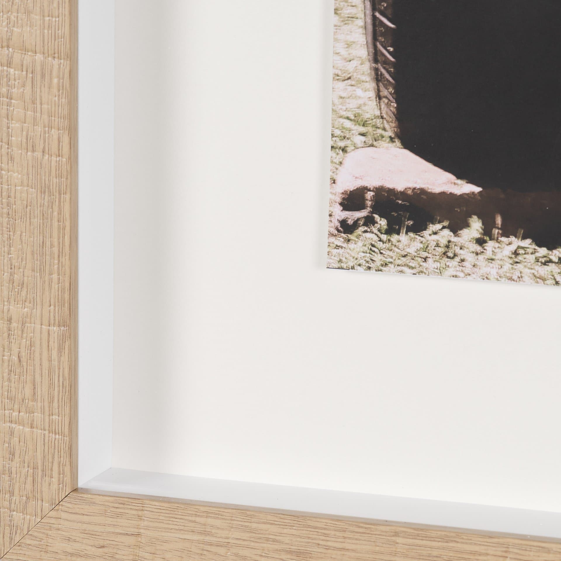 Classic Design In Soft Green Tones Shot By Clint Framed Photo Print Matted under Glass — product photograph