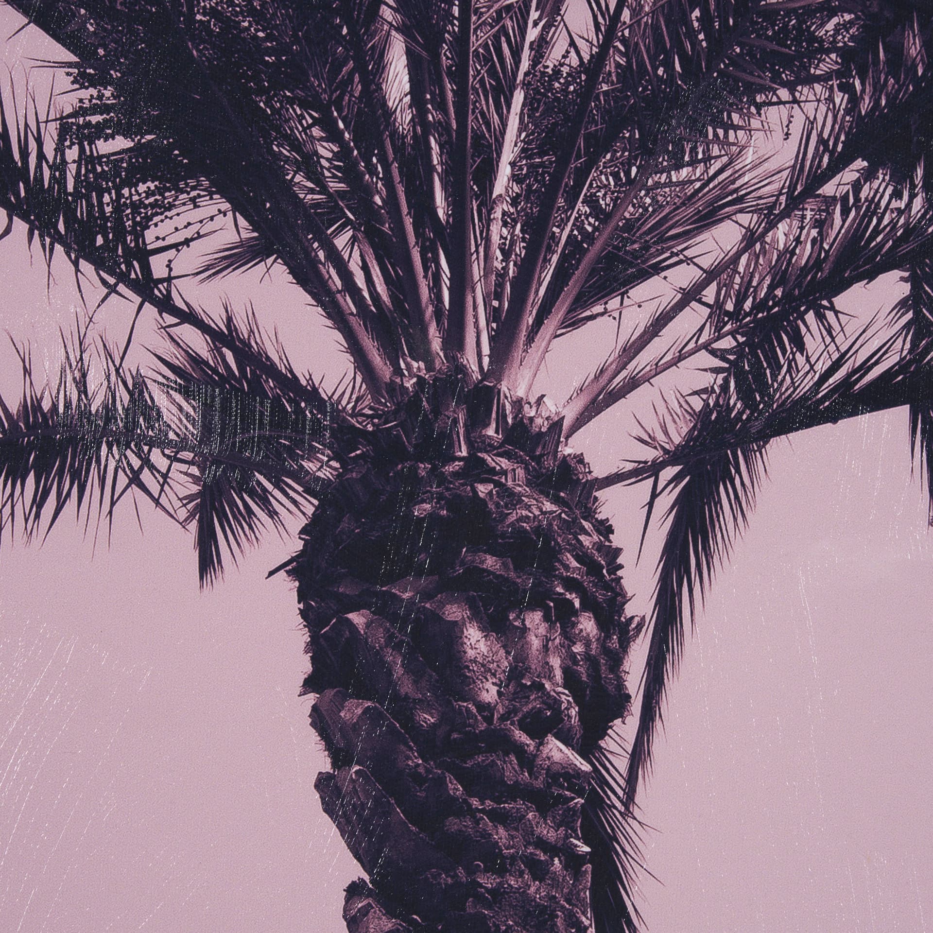 Pink Palms I by Deborah Revell a Hand Embellished Framed Photo Art Print — product photograph