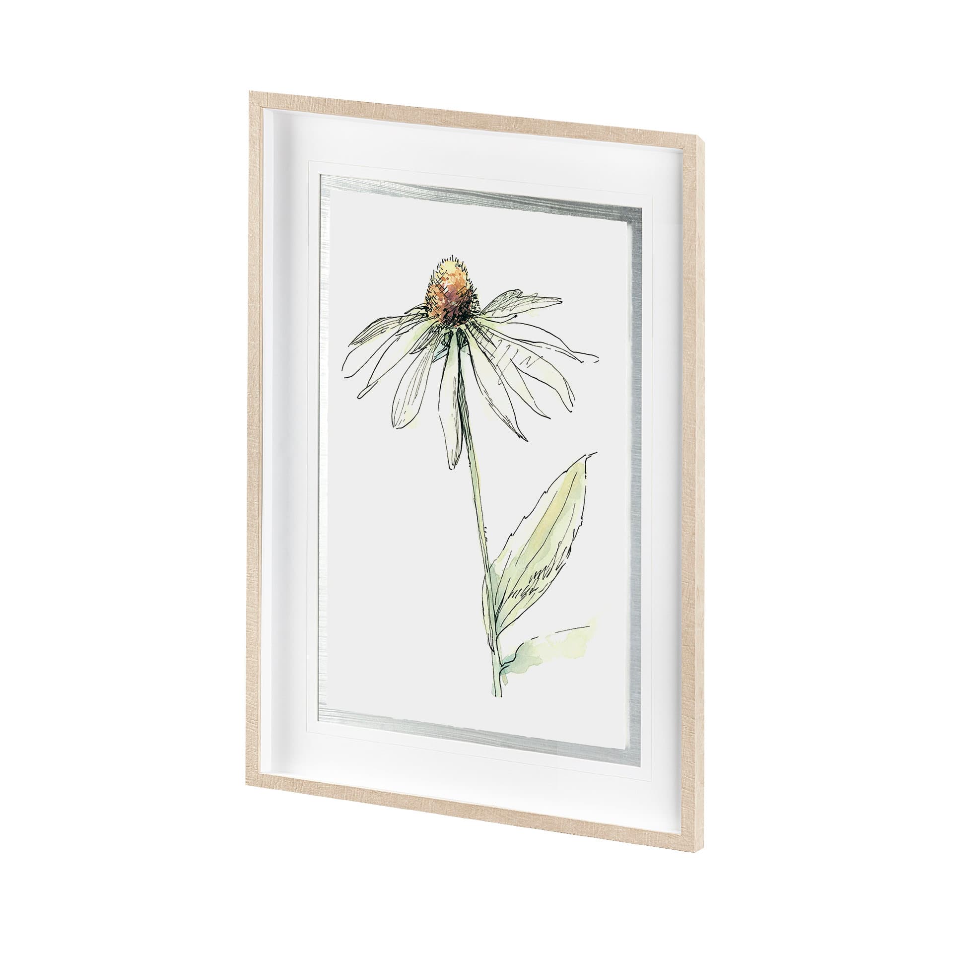 Echinacea II by Panpan Zhang a Framed Art Print Matted under Glass — product photograph