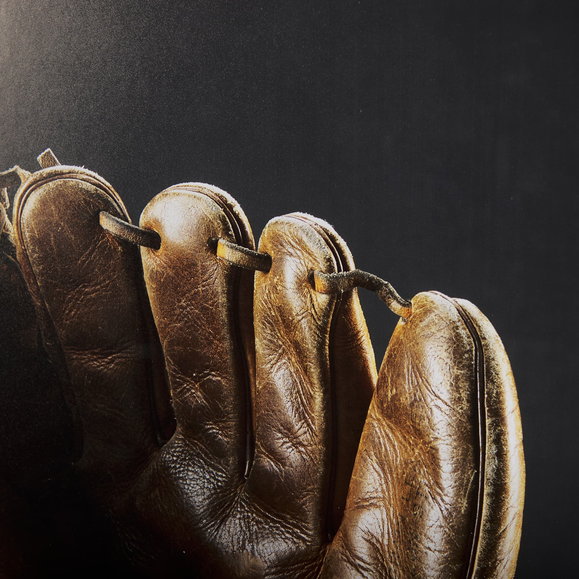 Pop Fly III by Mercana Studio a Hand Embellished Textured Framed Photo Art Print Matted under Glass — product photograph
