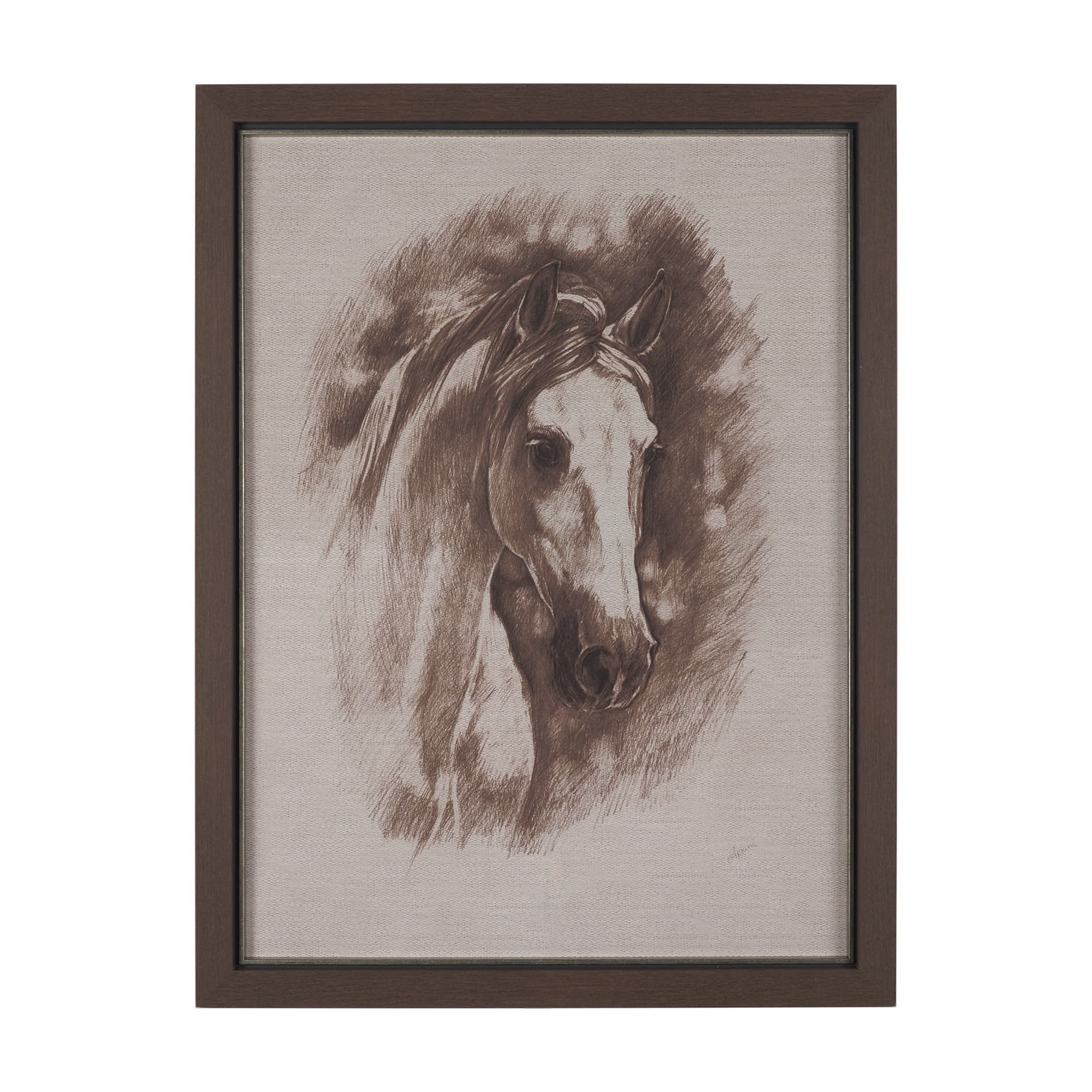 Portrait of a Thoroughbred II by Mercana Studio a Framed Art Print Matted under Glass — product photograph