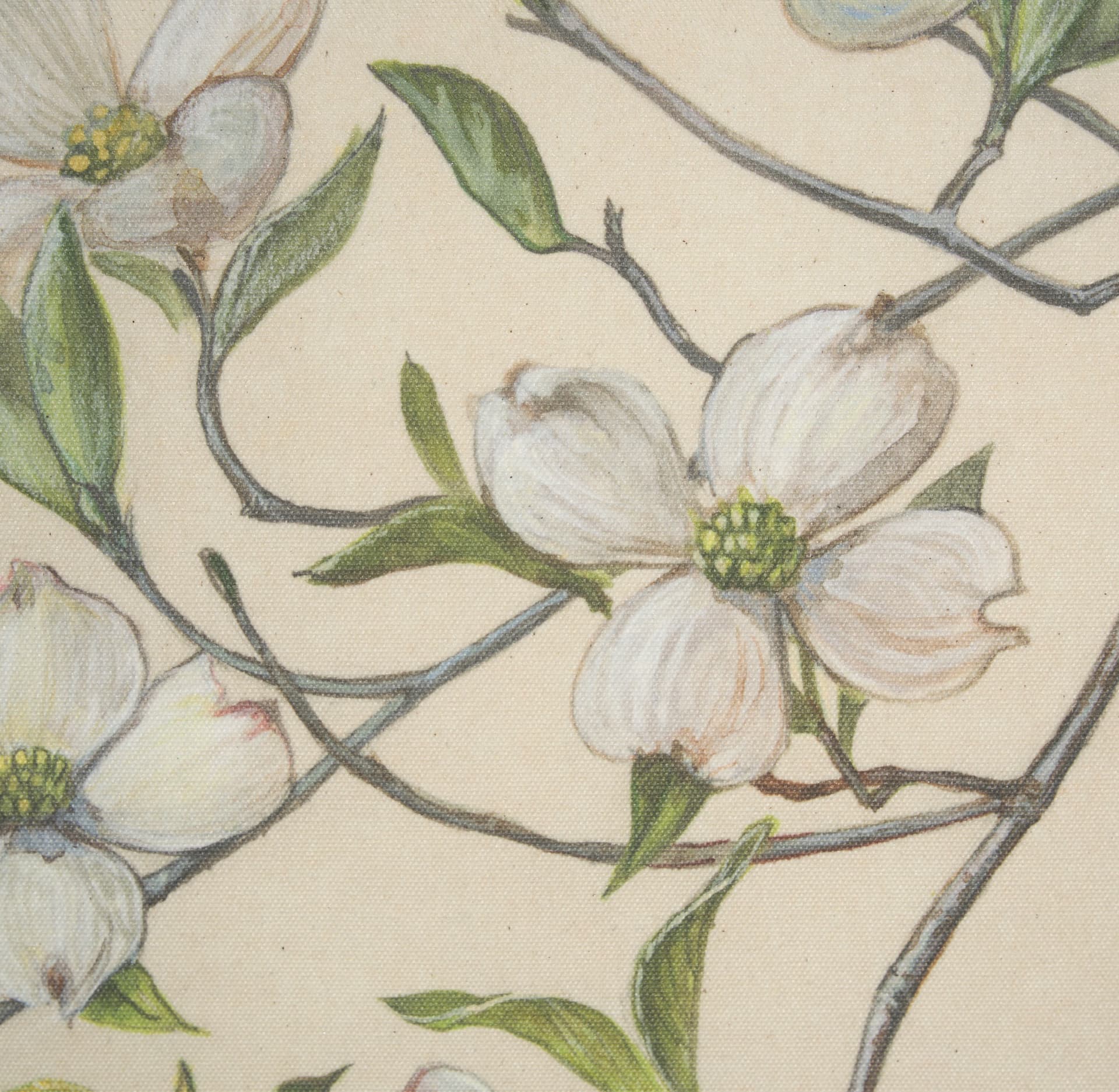Botanical Study-Cornus Florida by Mercana Studio a Hand Embelished Textured Framed Art Print — product photograph
