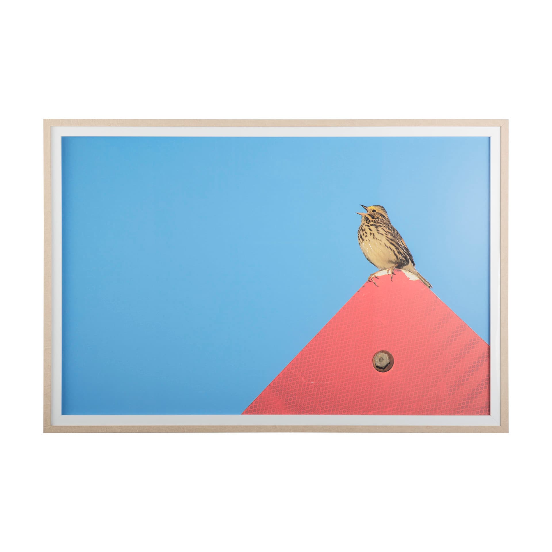 Morning Song by Mercana Studio a Hand Embellished Textured Framed Photo Art Print Matted under Glass — product photograph