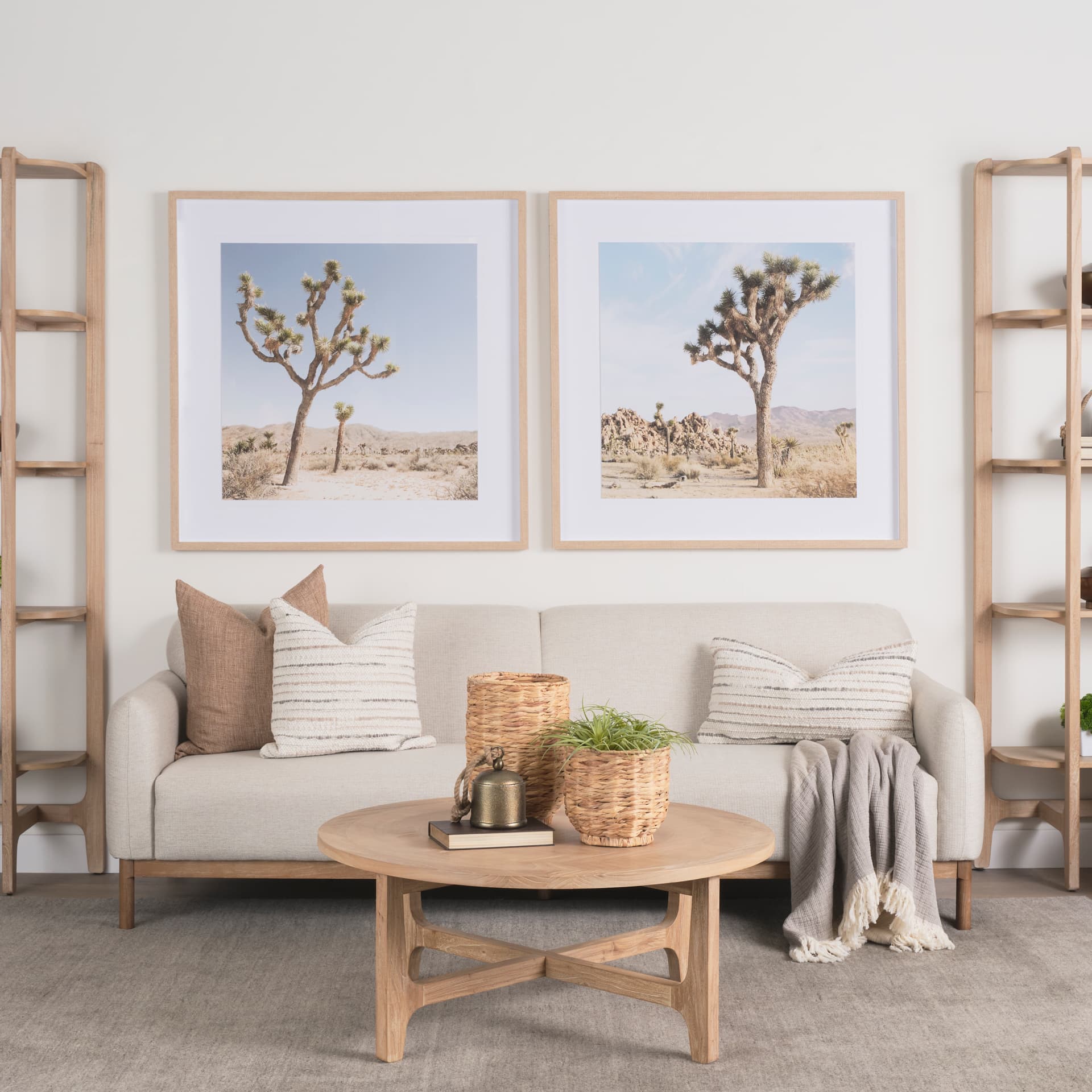 Joshua Tree 3 by THE Studio a Framed Photo Art Print Matted under Glass — in a styled room