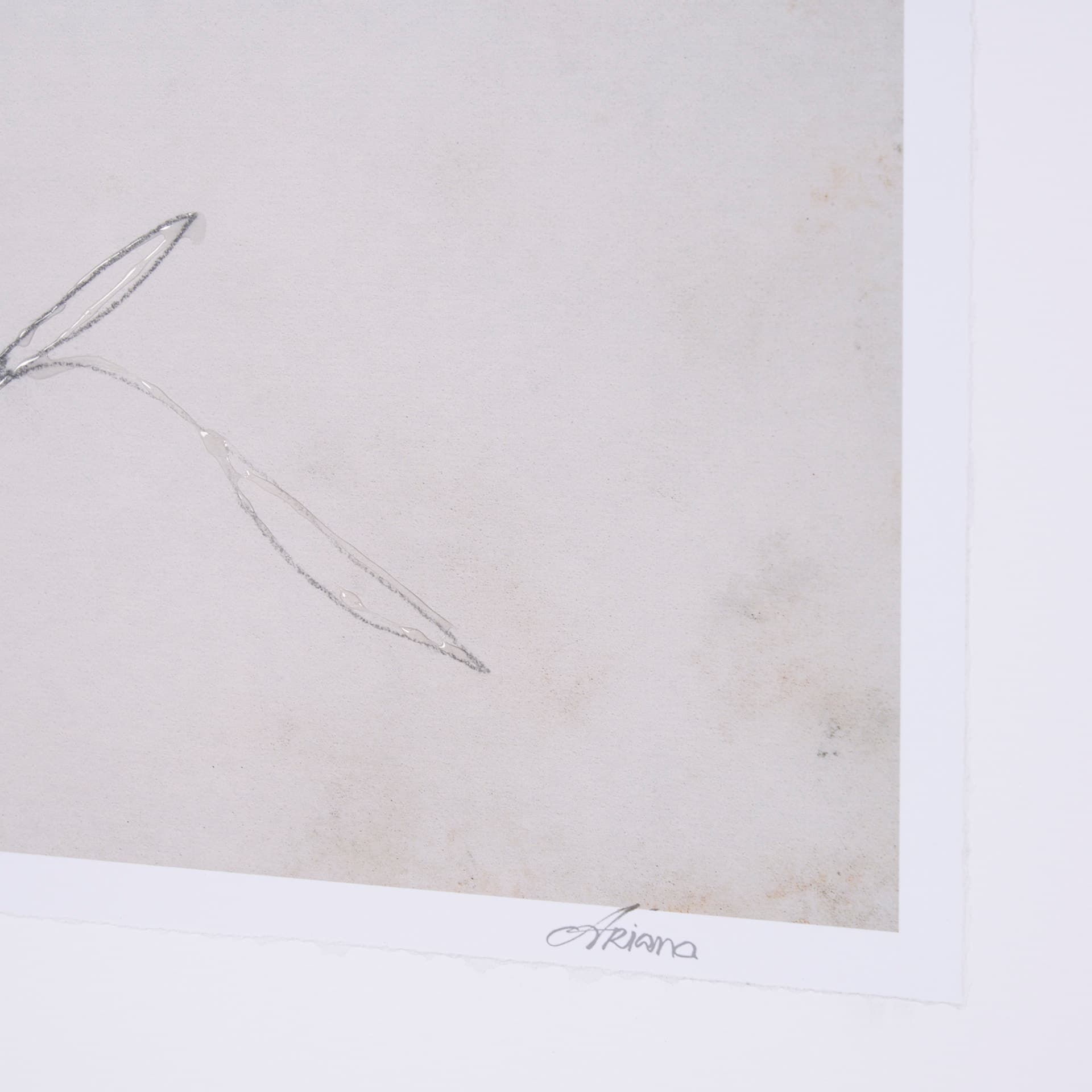Chokecherry 1 by Mercana Studio a Hand Embellished Framed Art Print Matted under Glass — product photograph