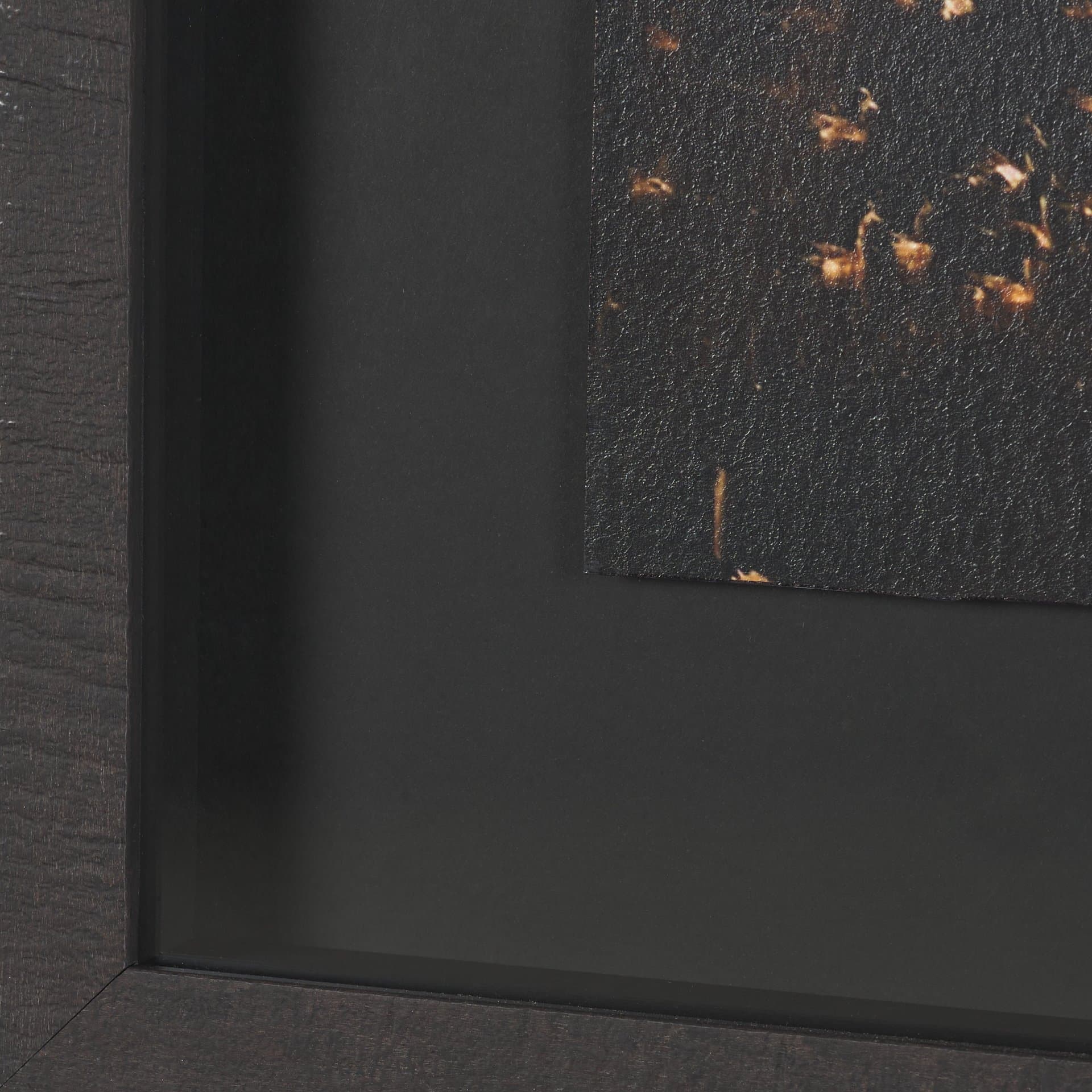 Gilded Flight by Chad Mackay Textured Framed Photo Print Matted under Glass (Set of 2) — product photograph